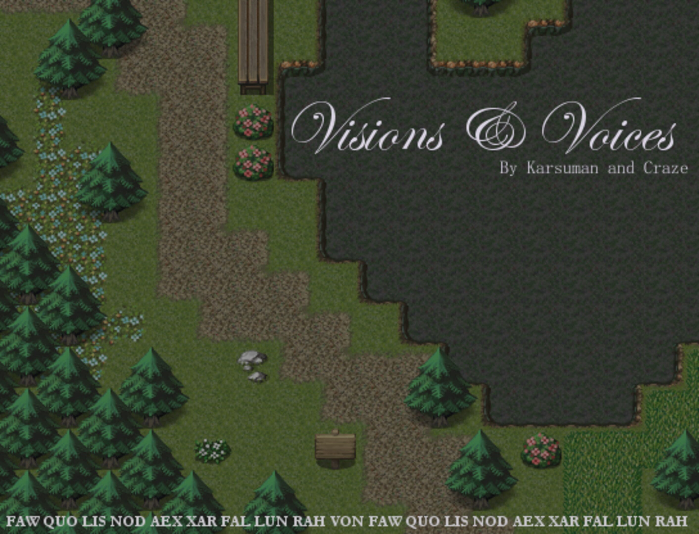 Visions & Voices