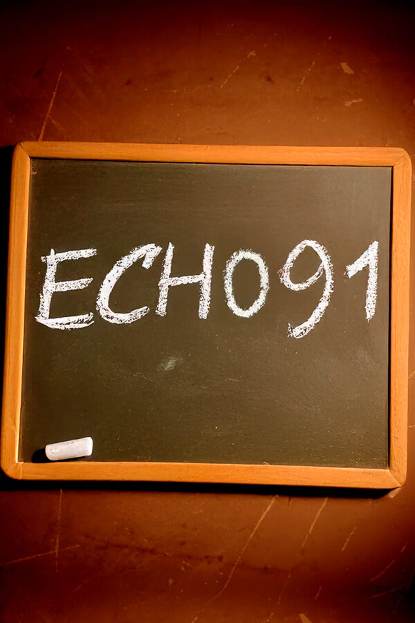 Echo 91 cover