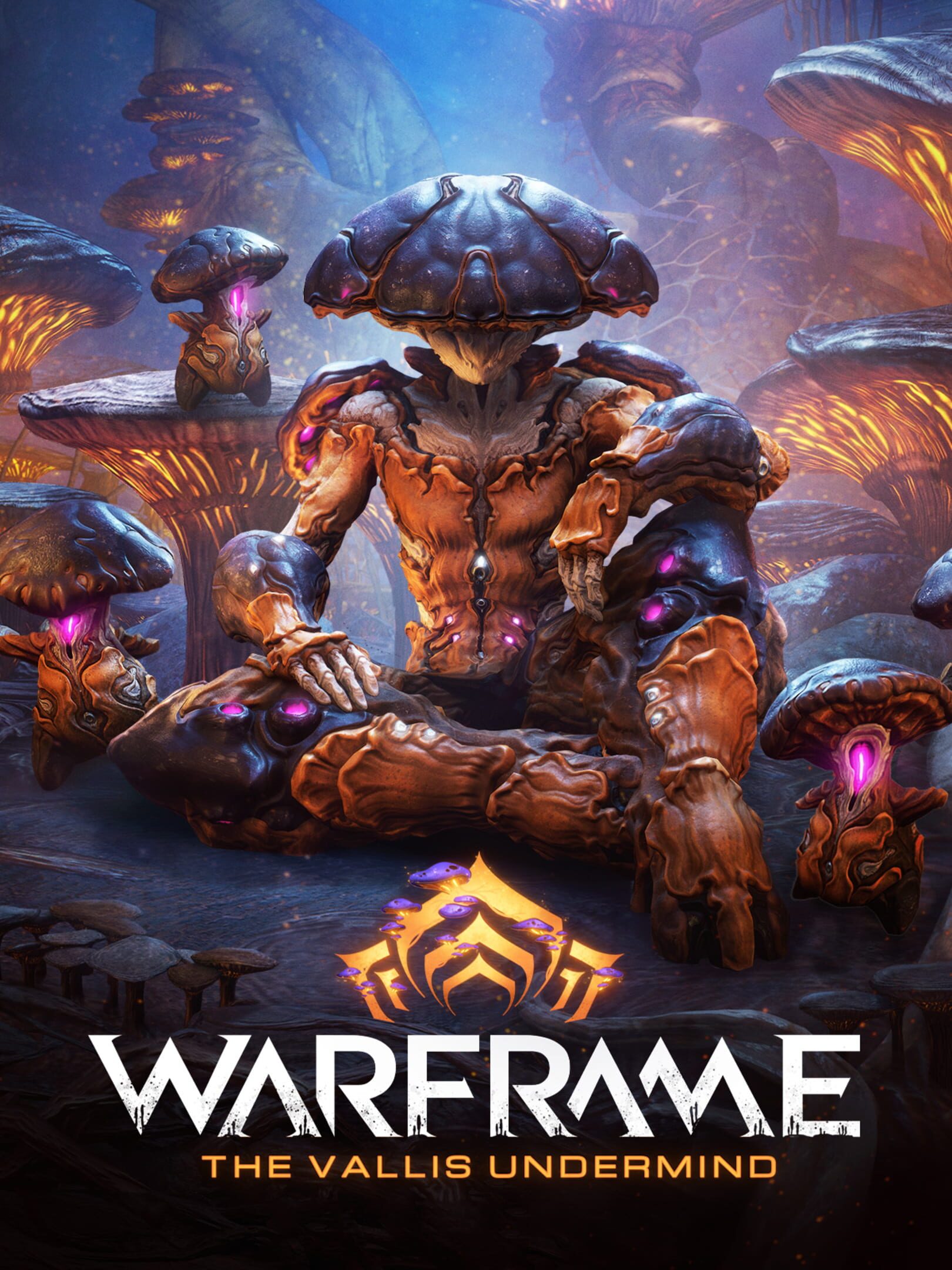 Warframe: The Vallis Undermind