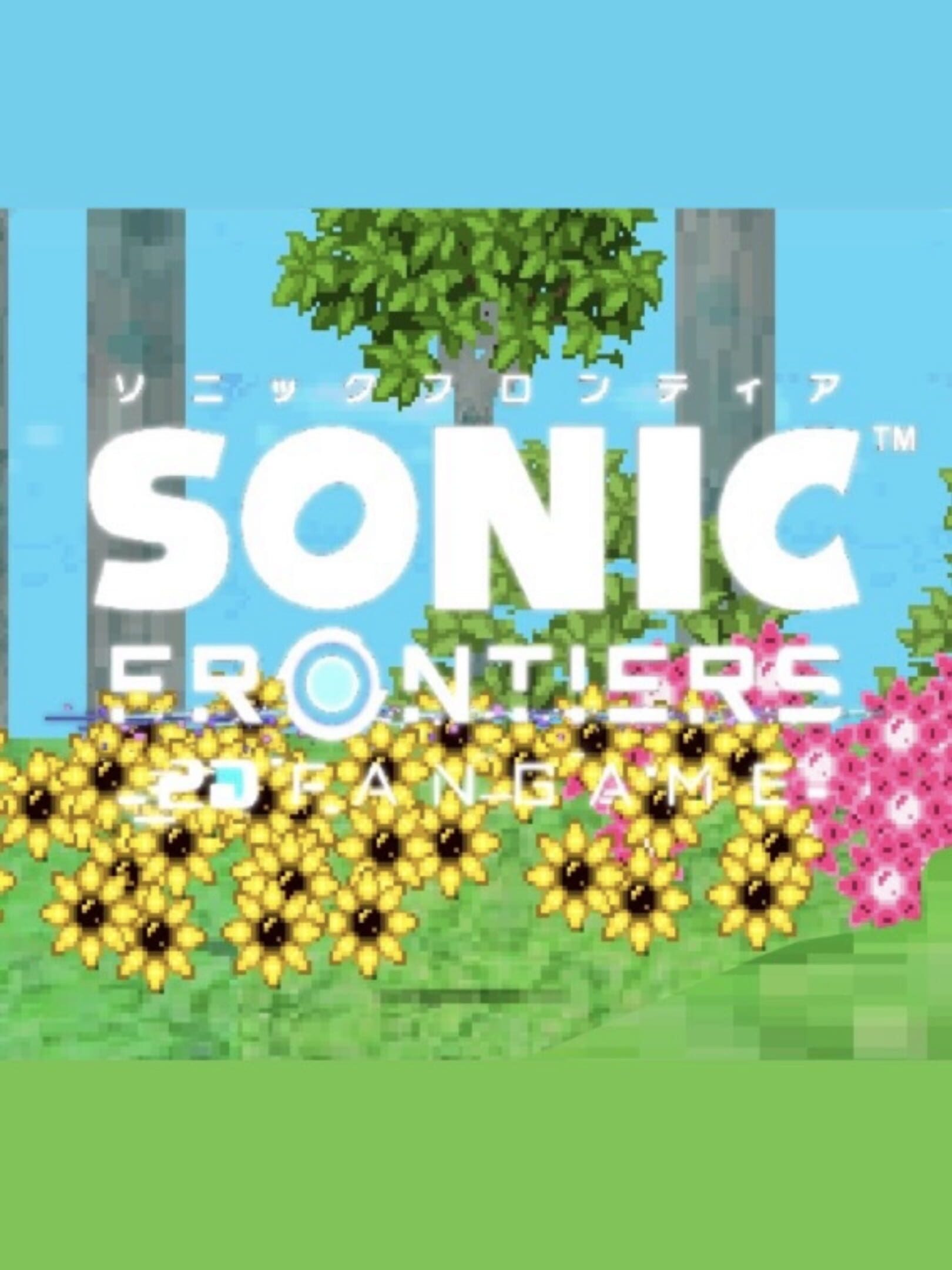 Sonic Frontiers 2D cover