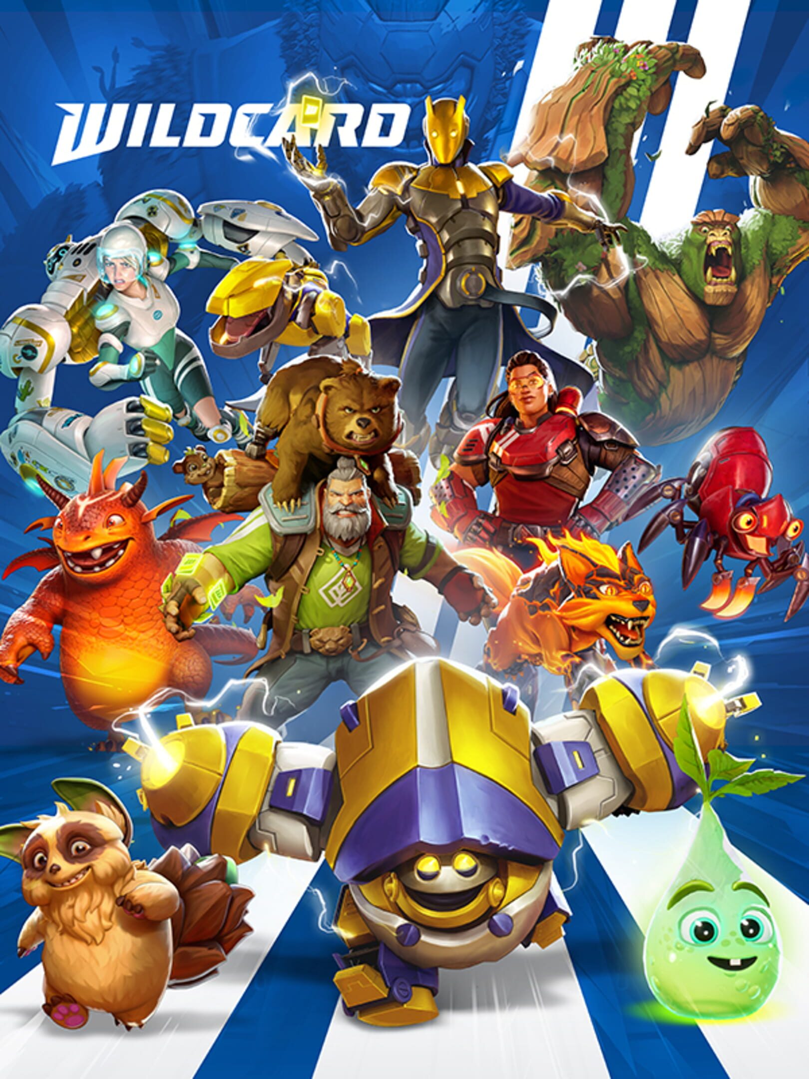 Wildcard cover