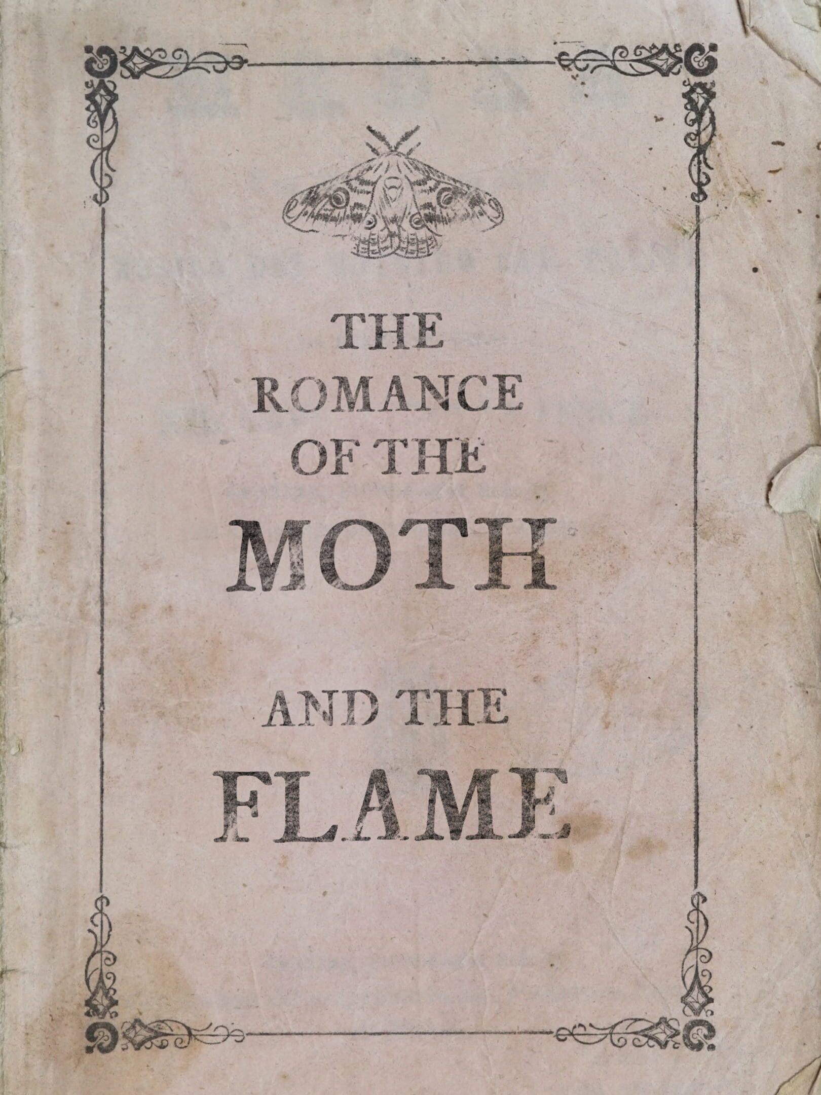 The Romance of the Moth and the Flame cover