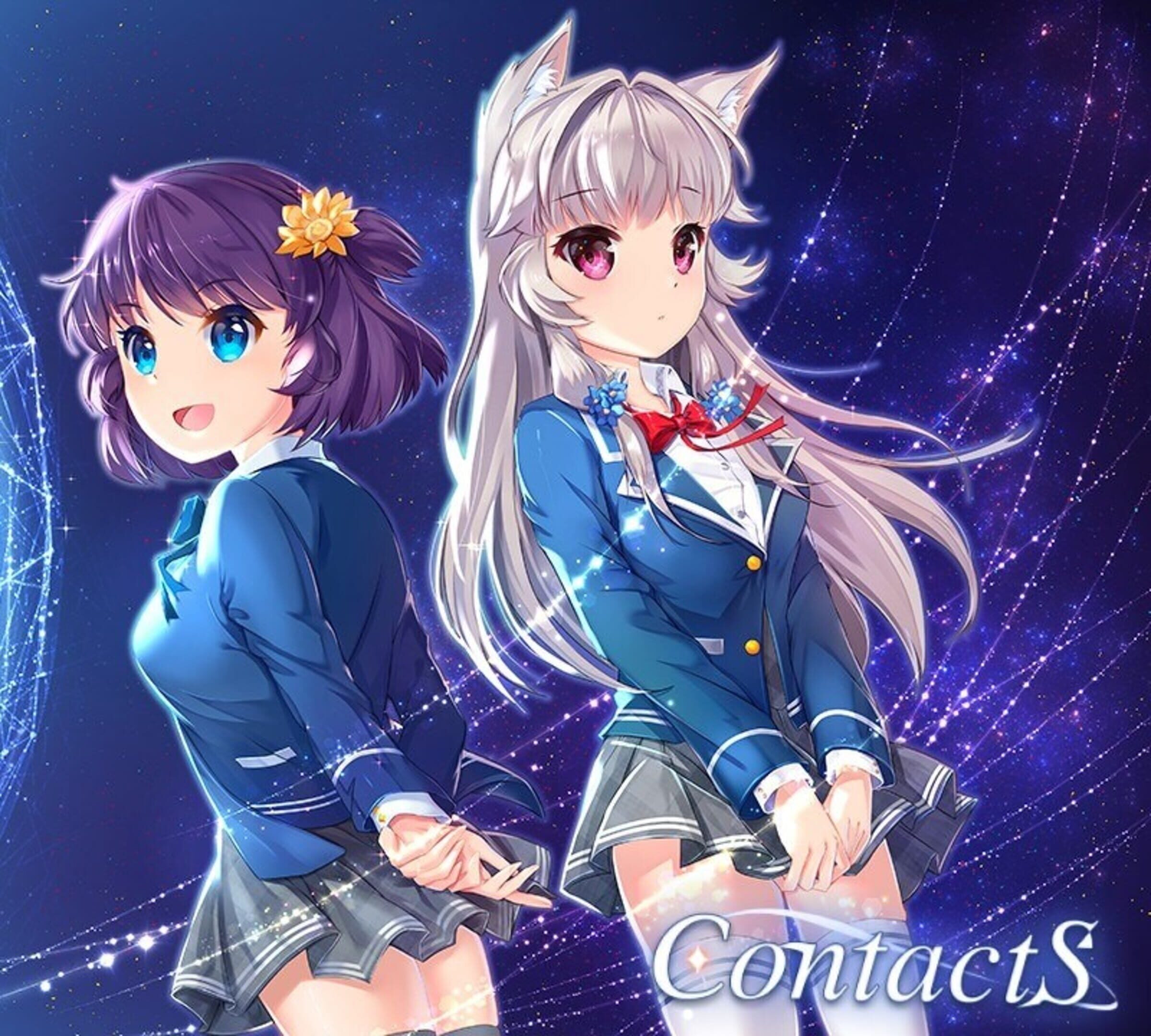 Contacts