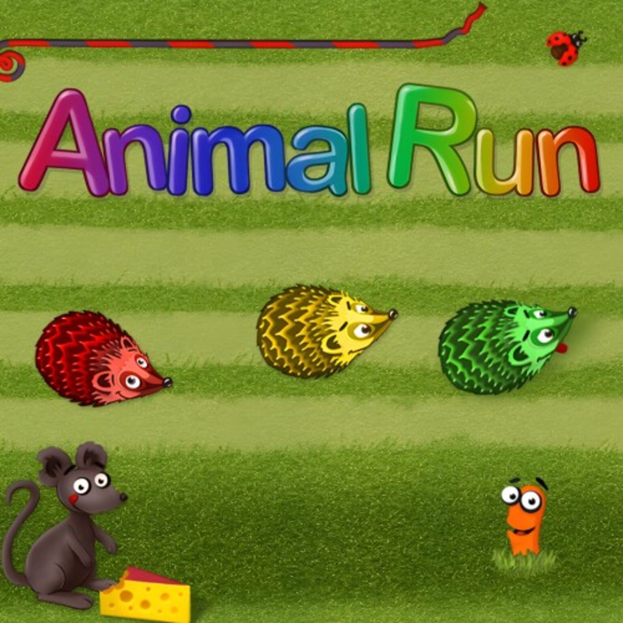 Animal Run for Kids cover