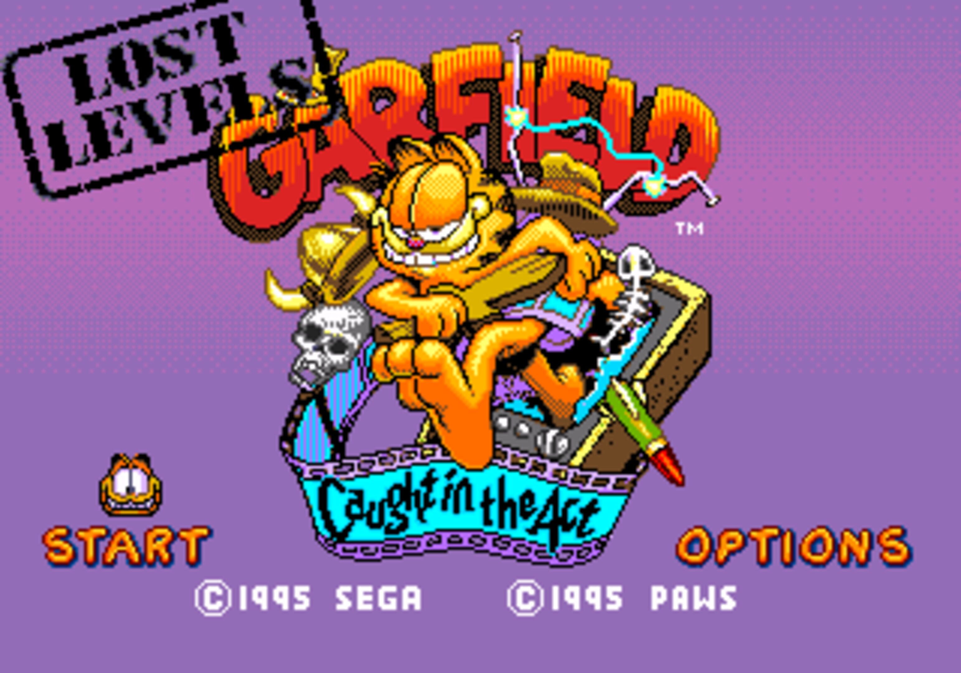 Garfield: The Lost Levels