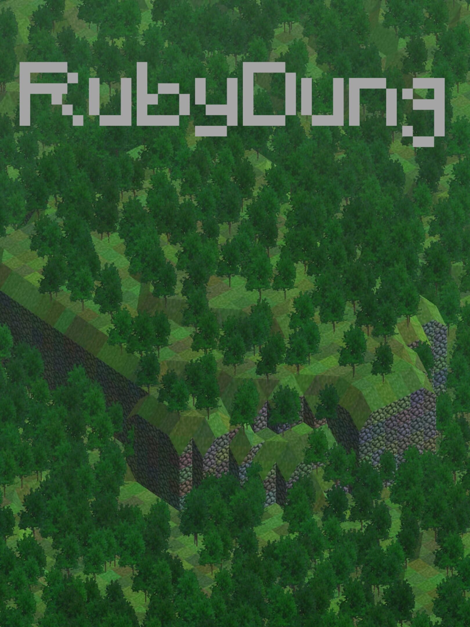 RubyDung