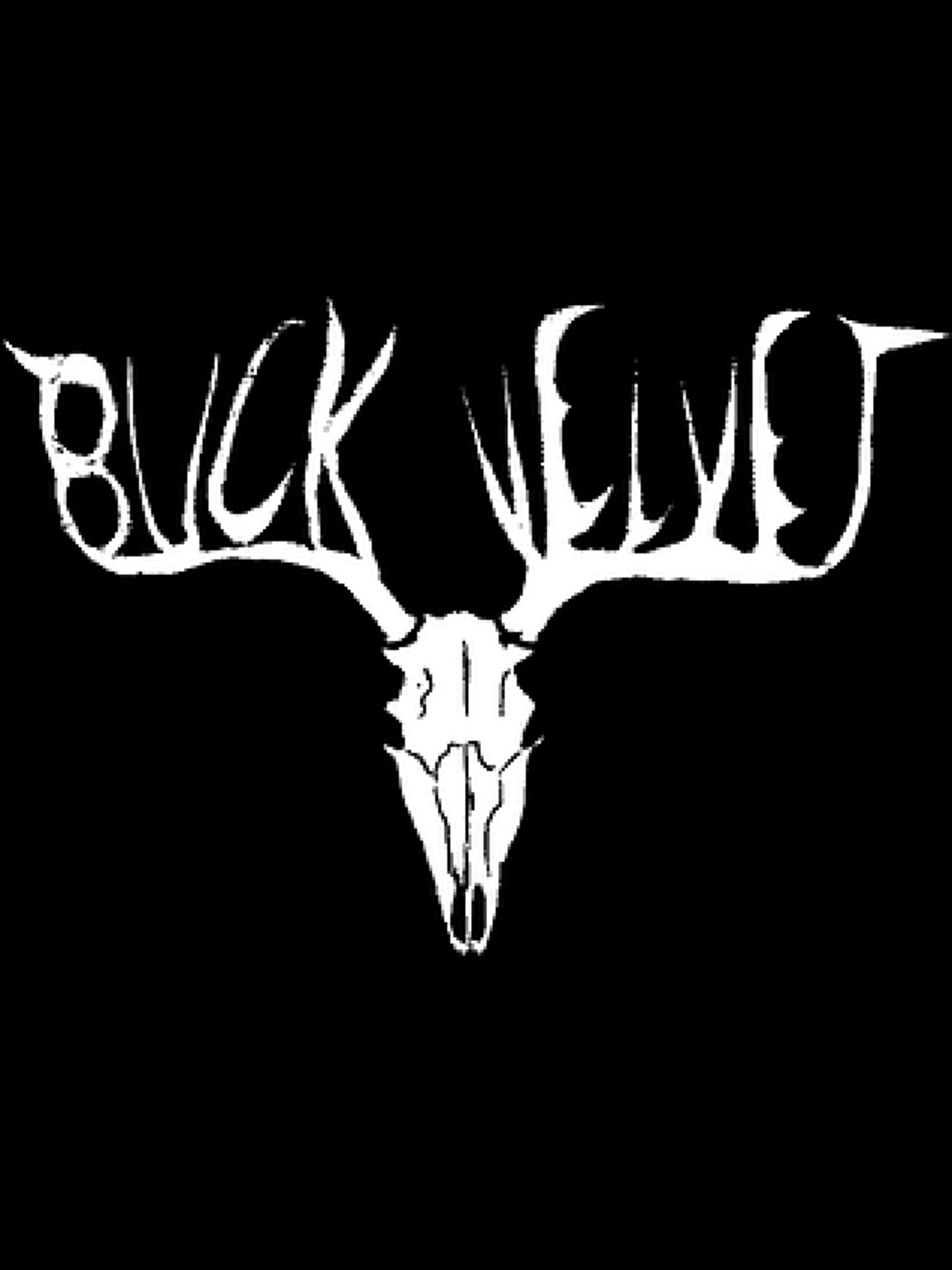 Buck Velvet