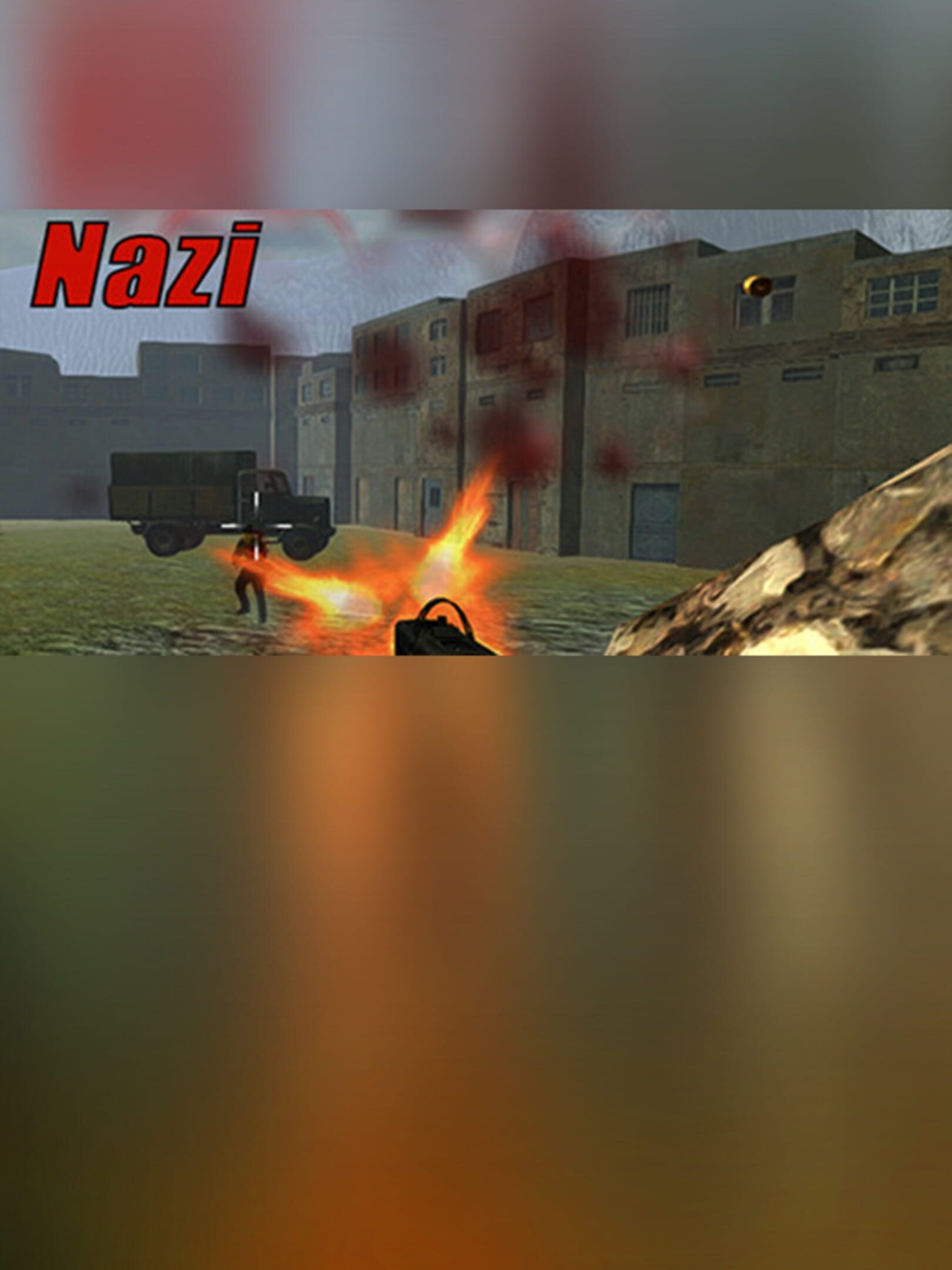 Nazi cover