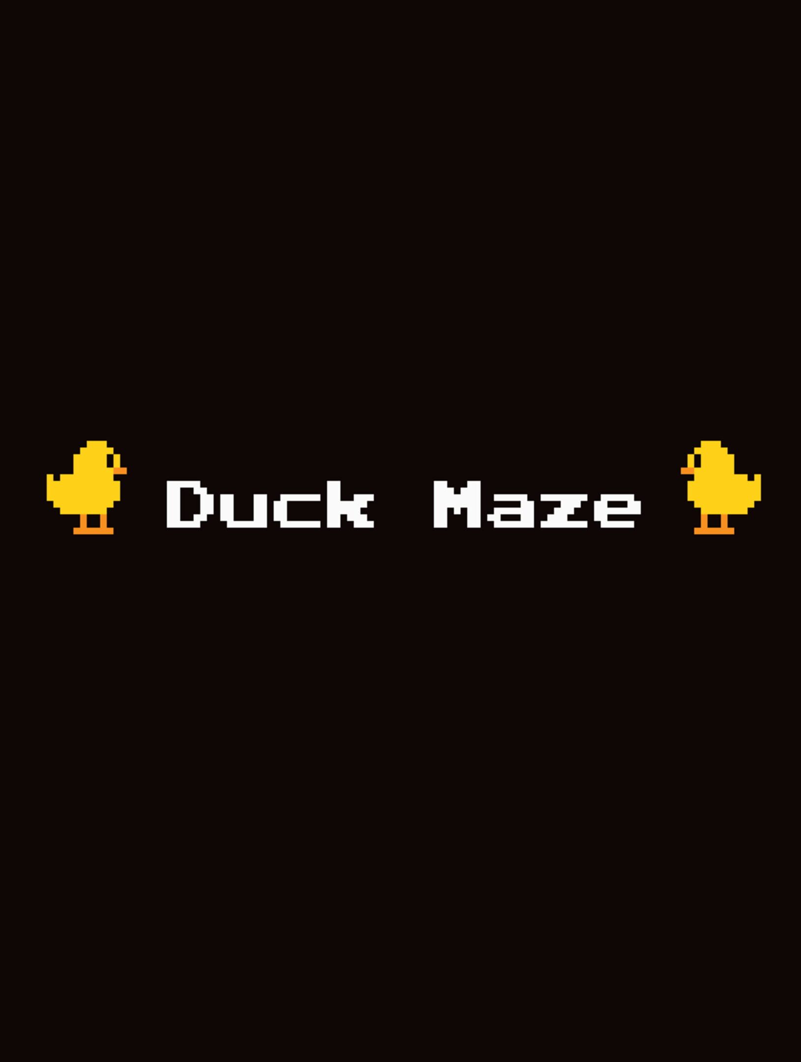 Duck Maze cover