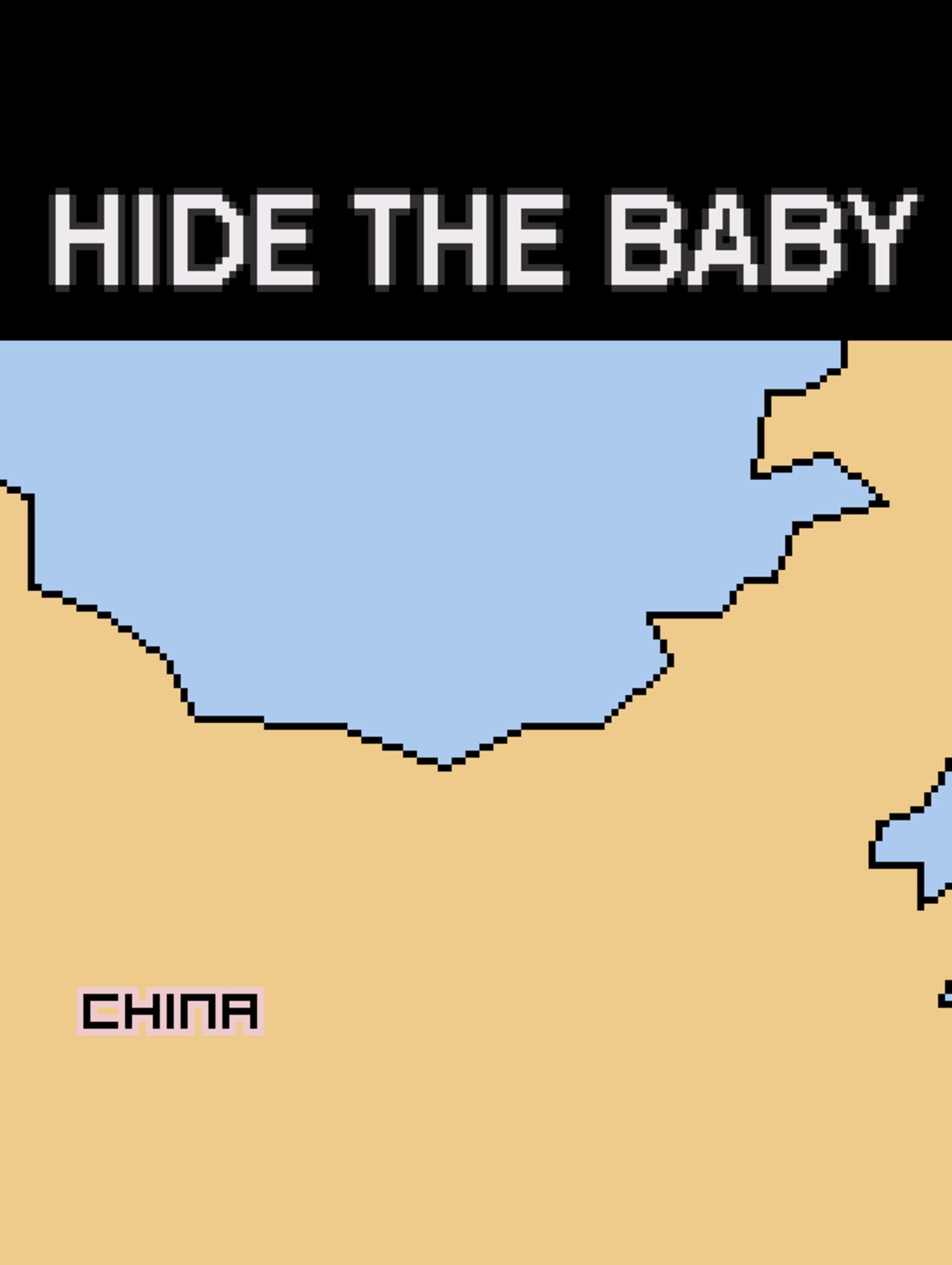 Hide the Baby cover
