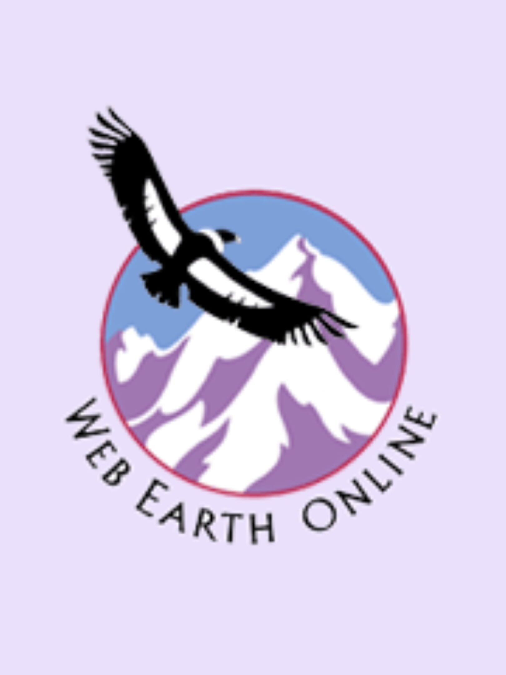 Web Earth Online cover