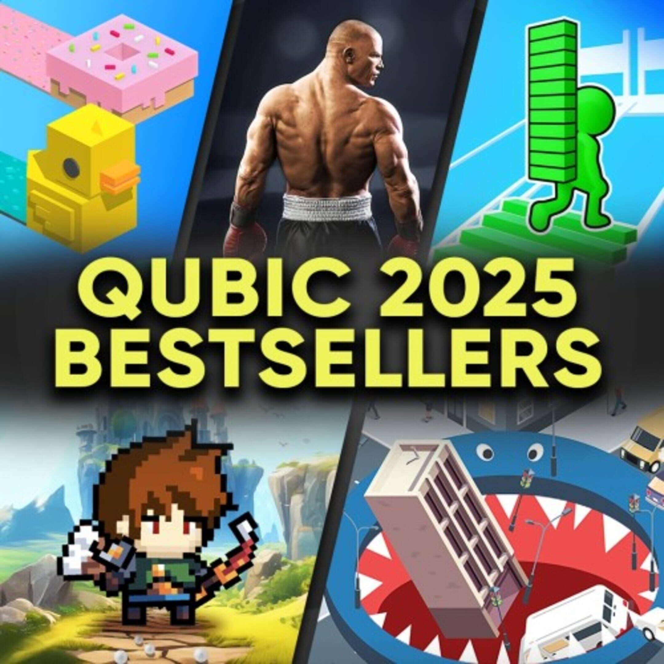 Qubic 2025 Bestsellers cover