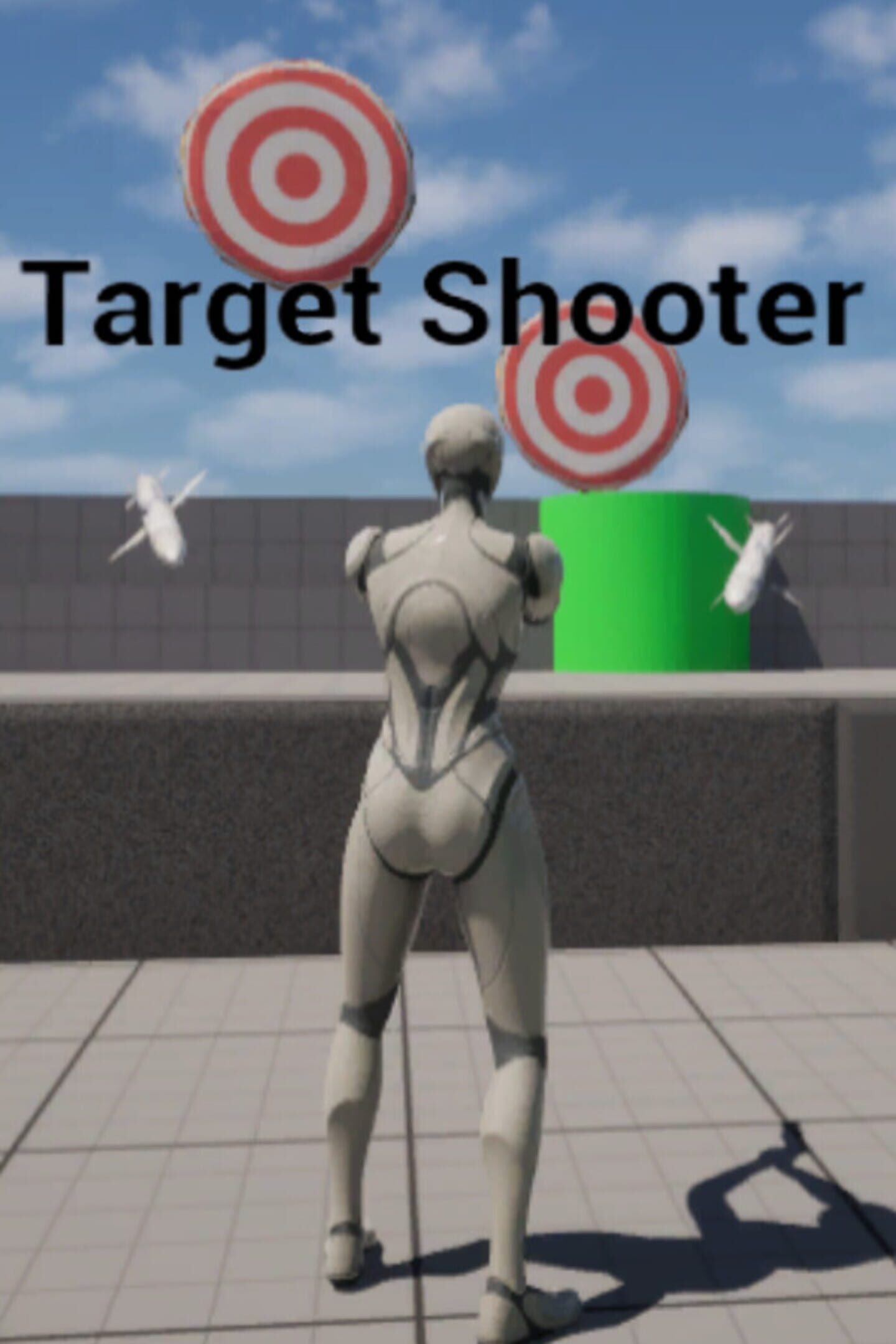 Targetshooter cover