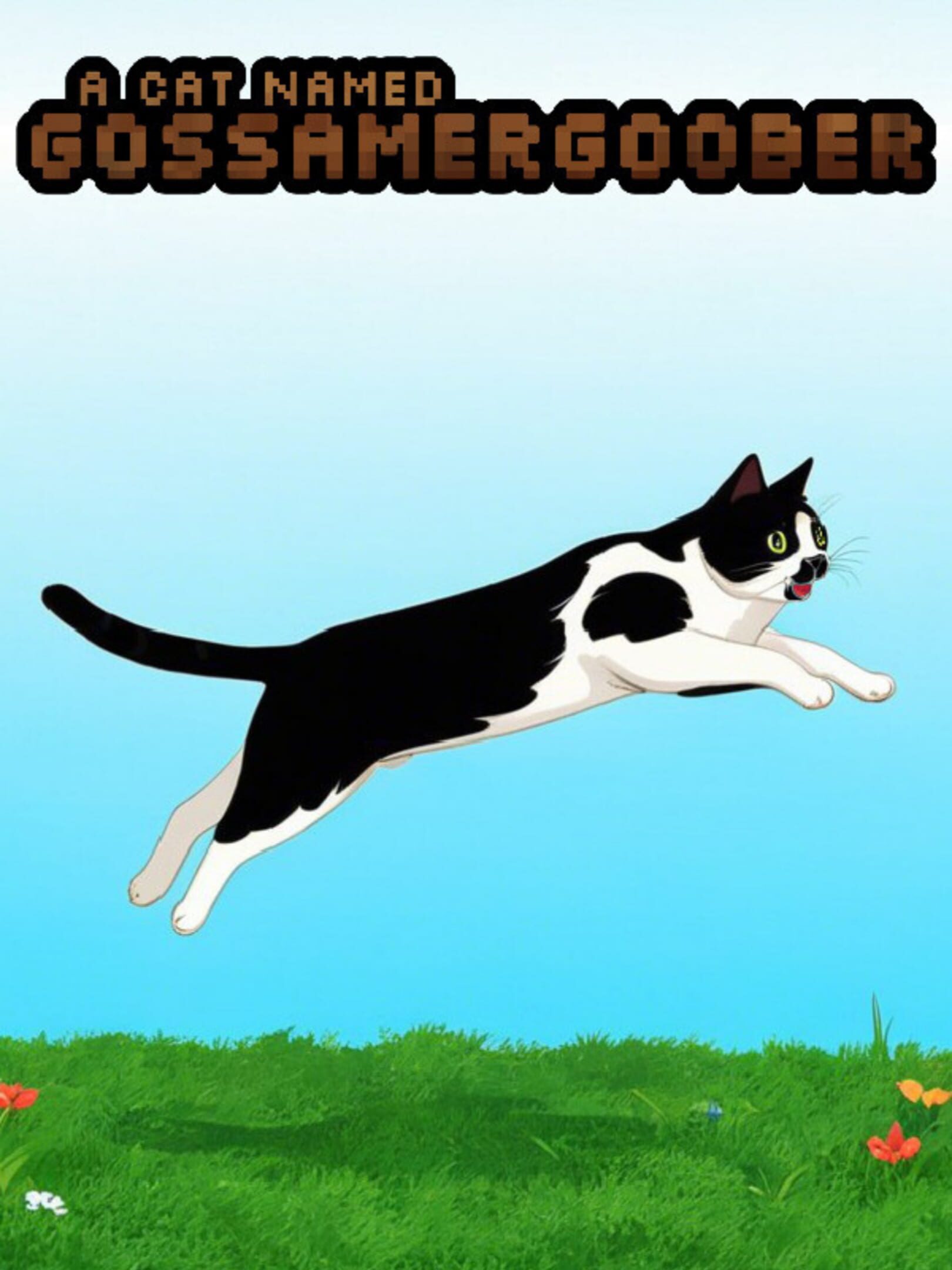 A Cat named Gossamergoober cover