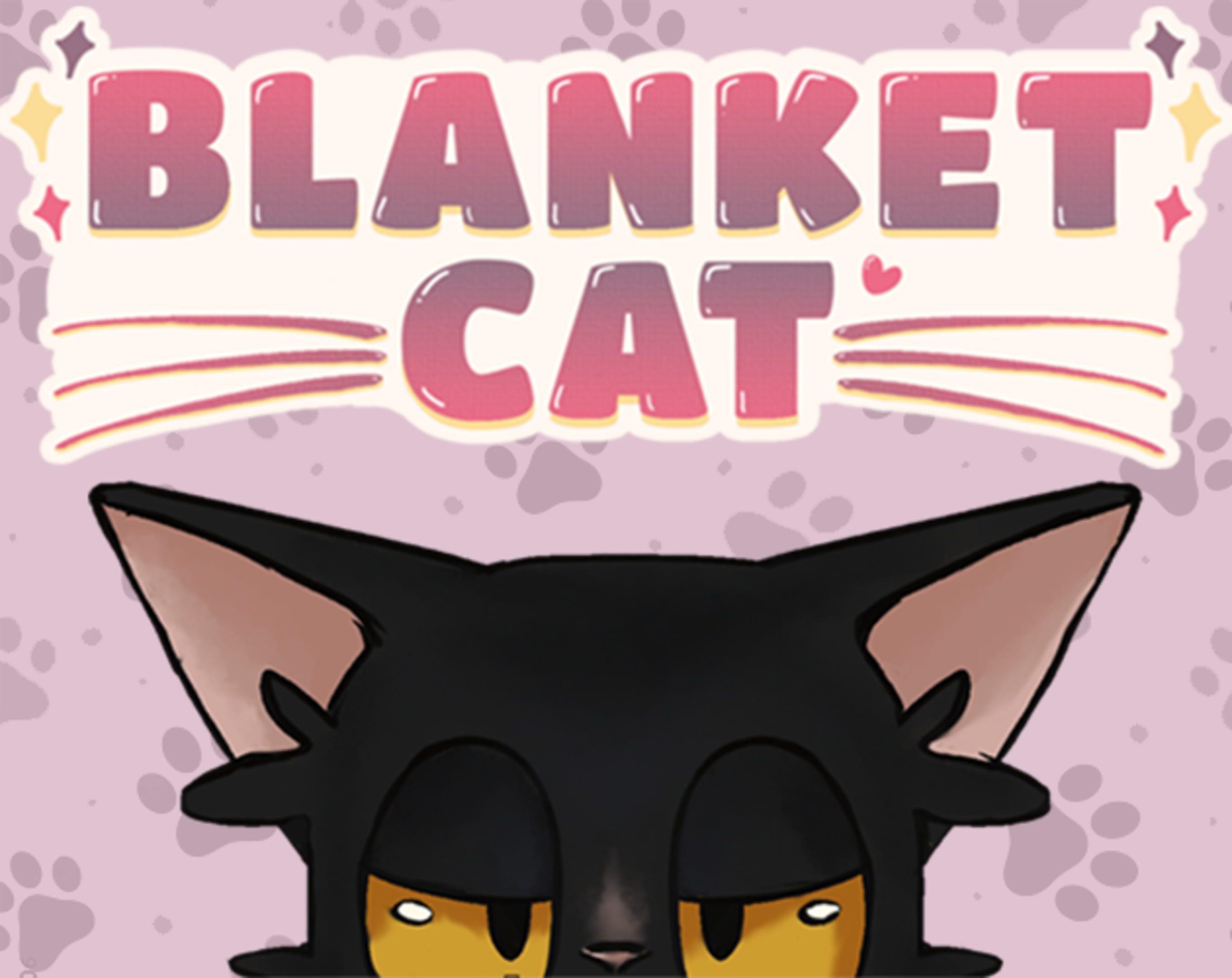 Blanket Cat cover