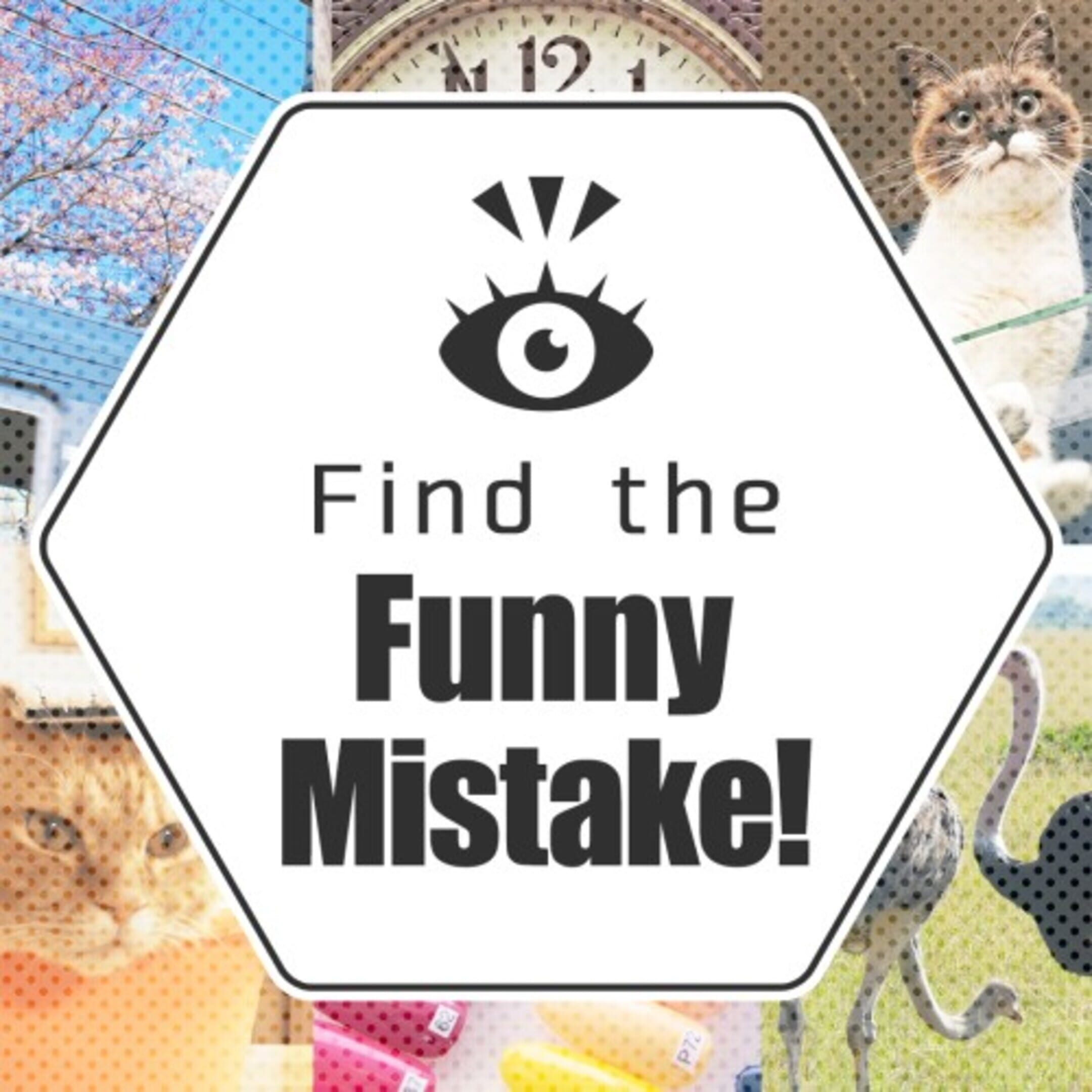 Find the Funny Mistake! cover