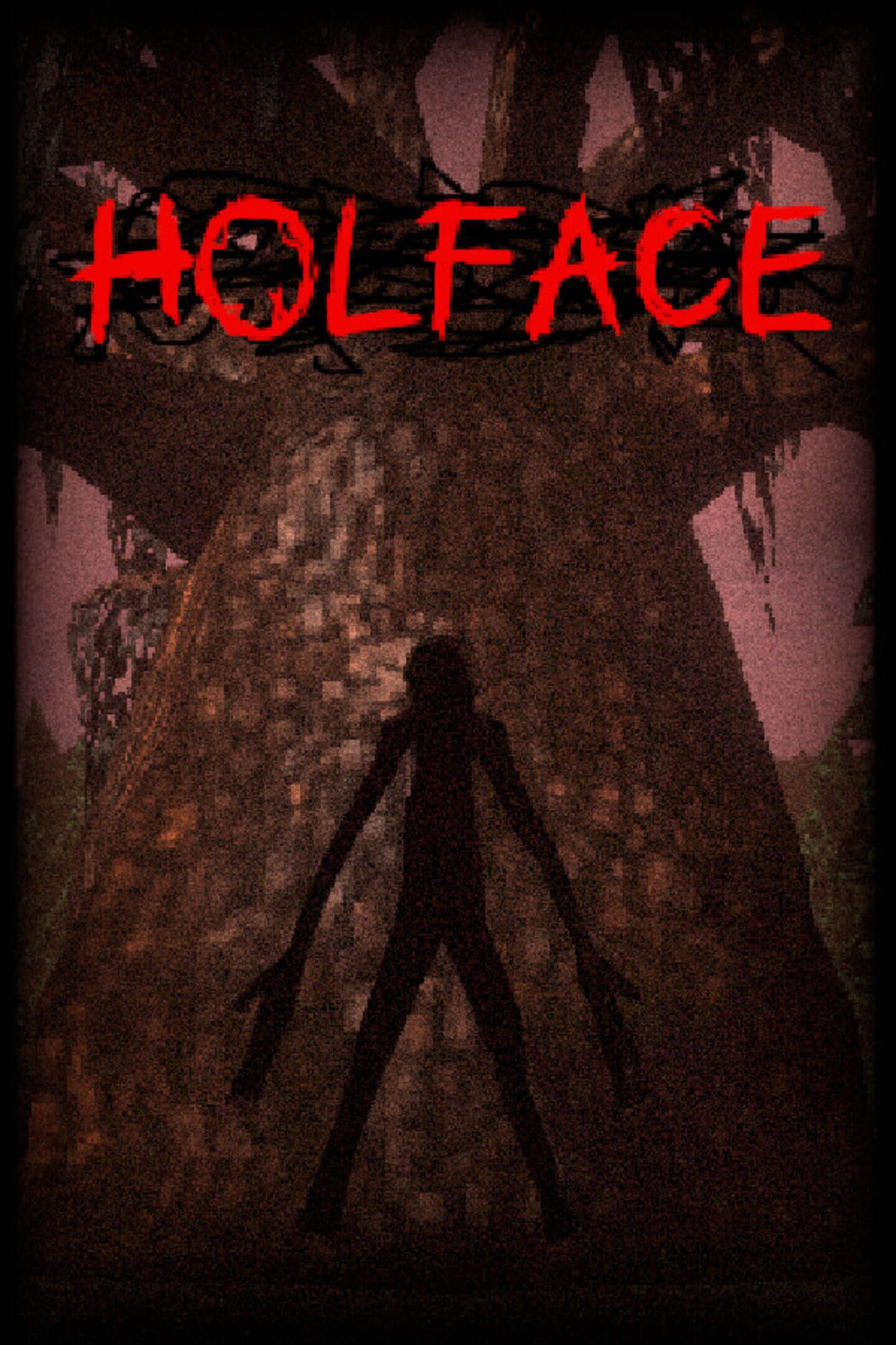 Holface cover