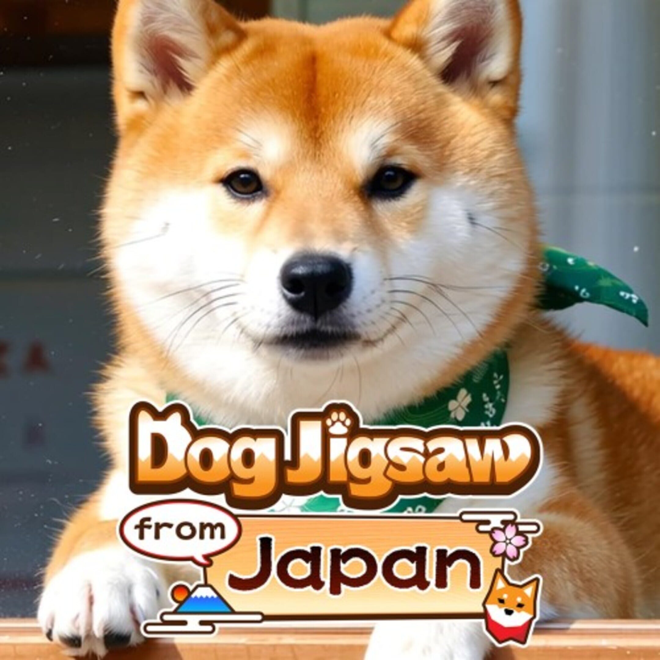Dog Jigsaw from Japan cover
