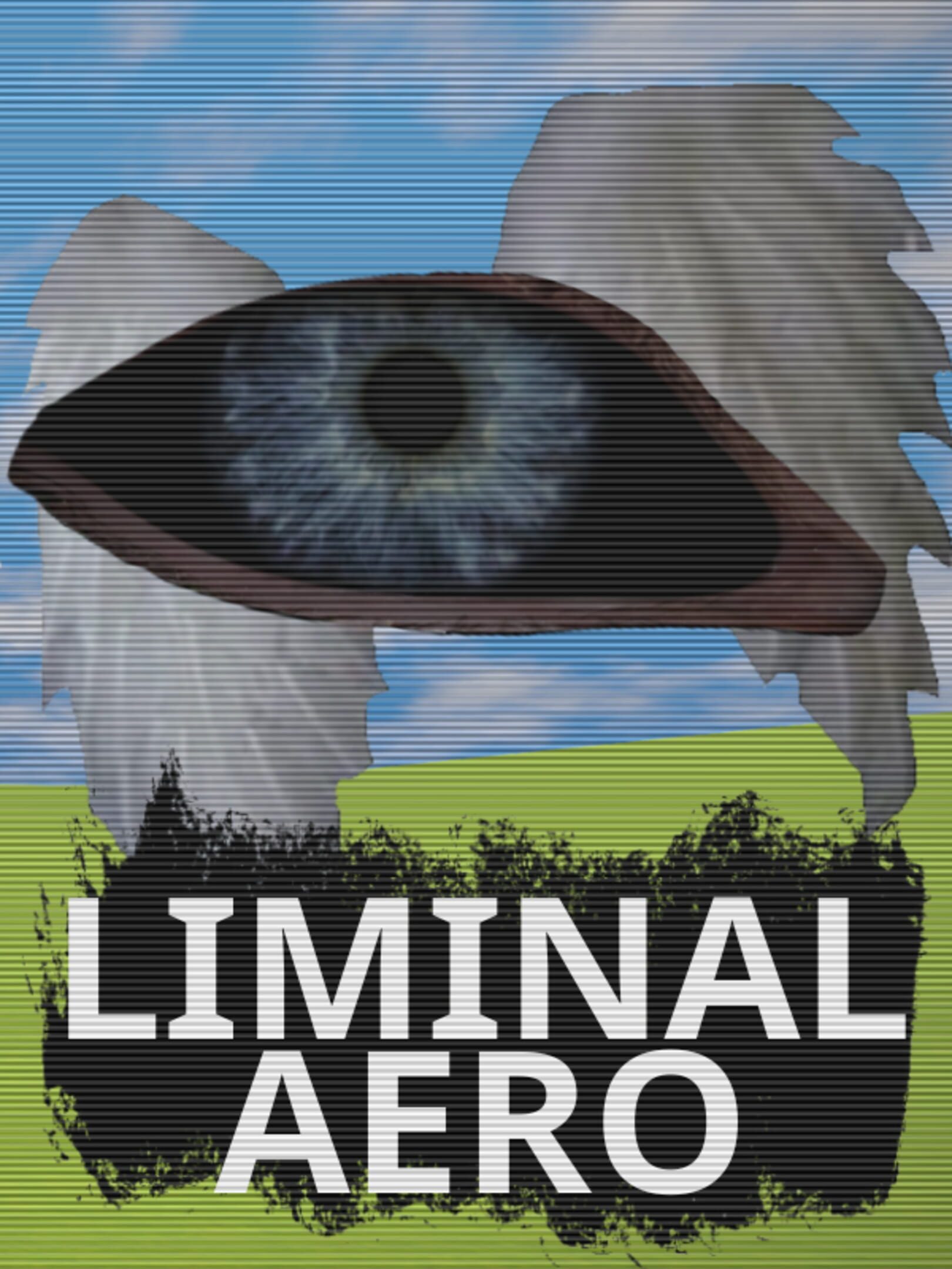 Liminal Aero cover