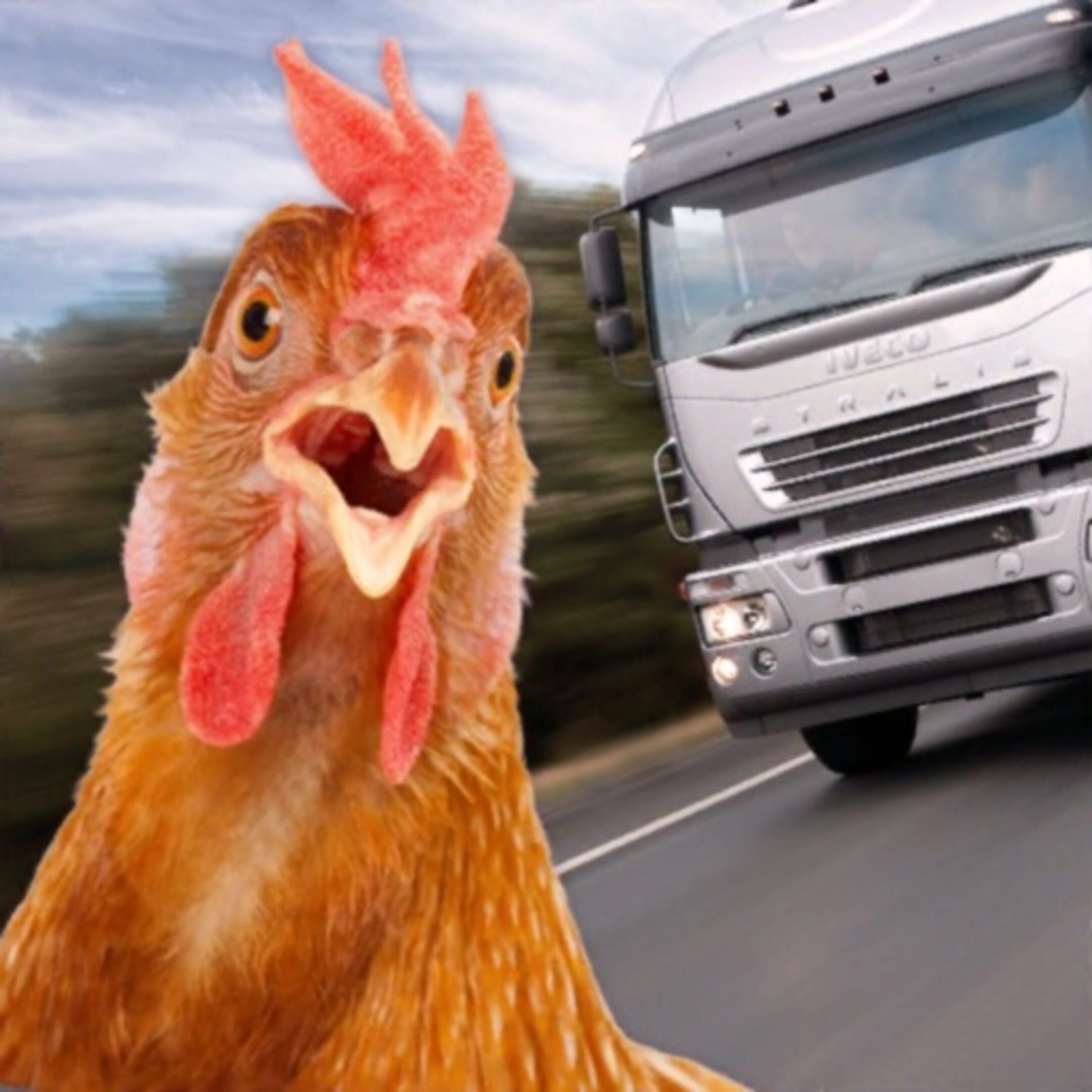 Chicken Royale cover