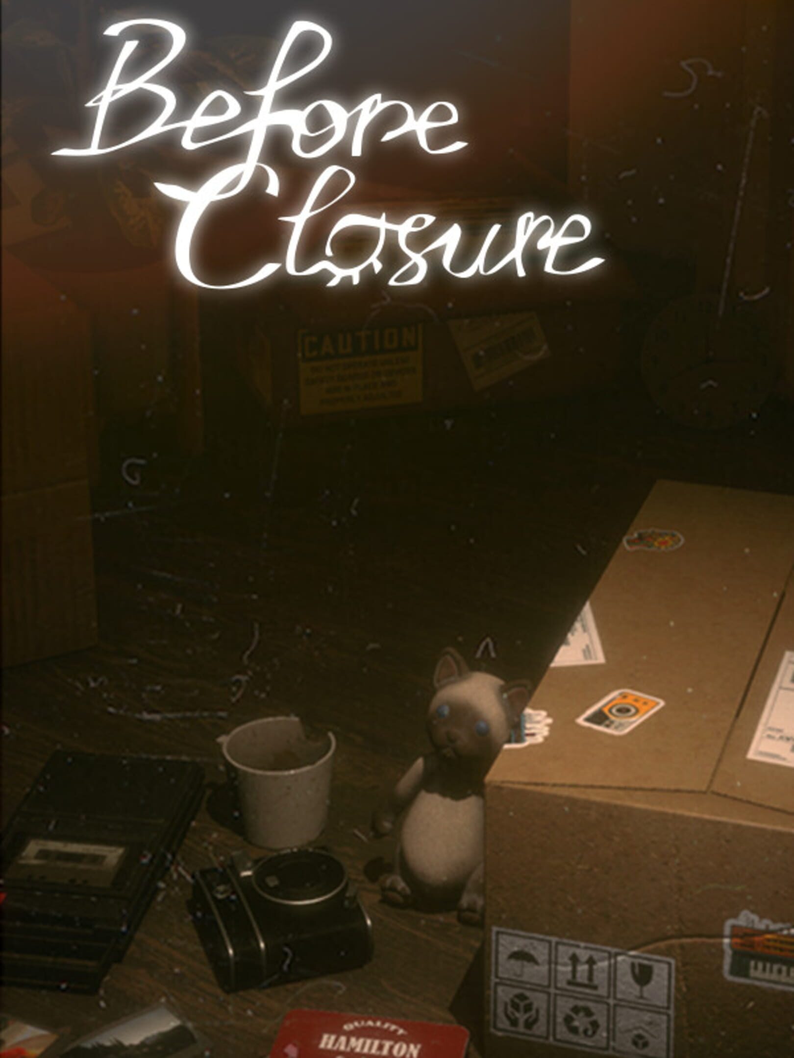 Before Closure cover