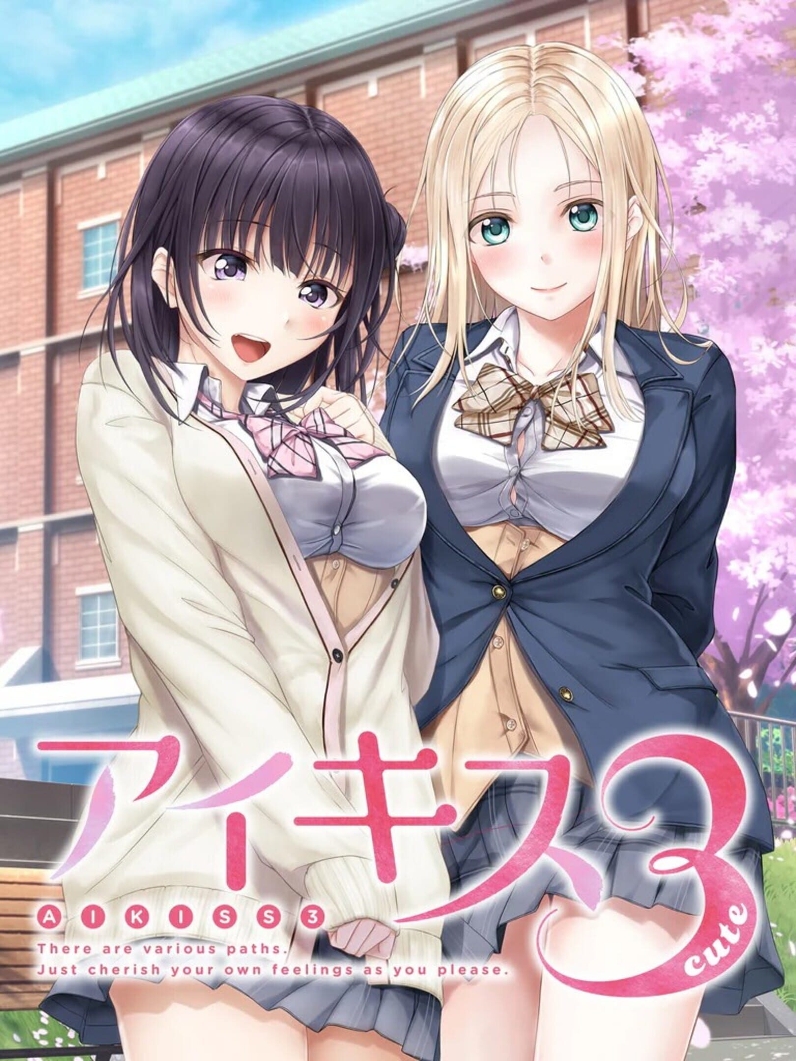 Aikiss 3 Cute cover
