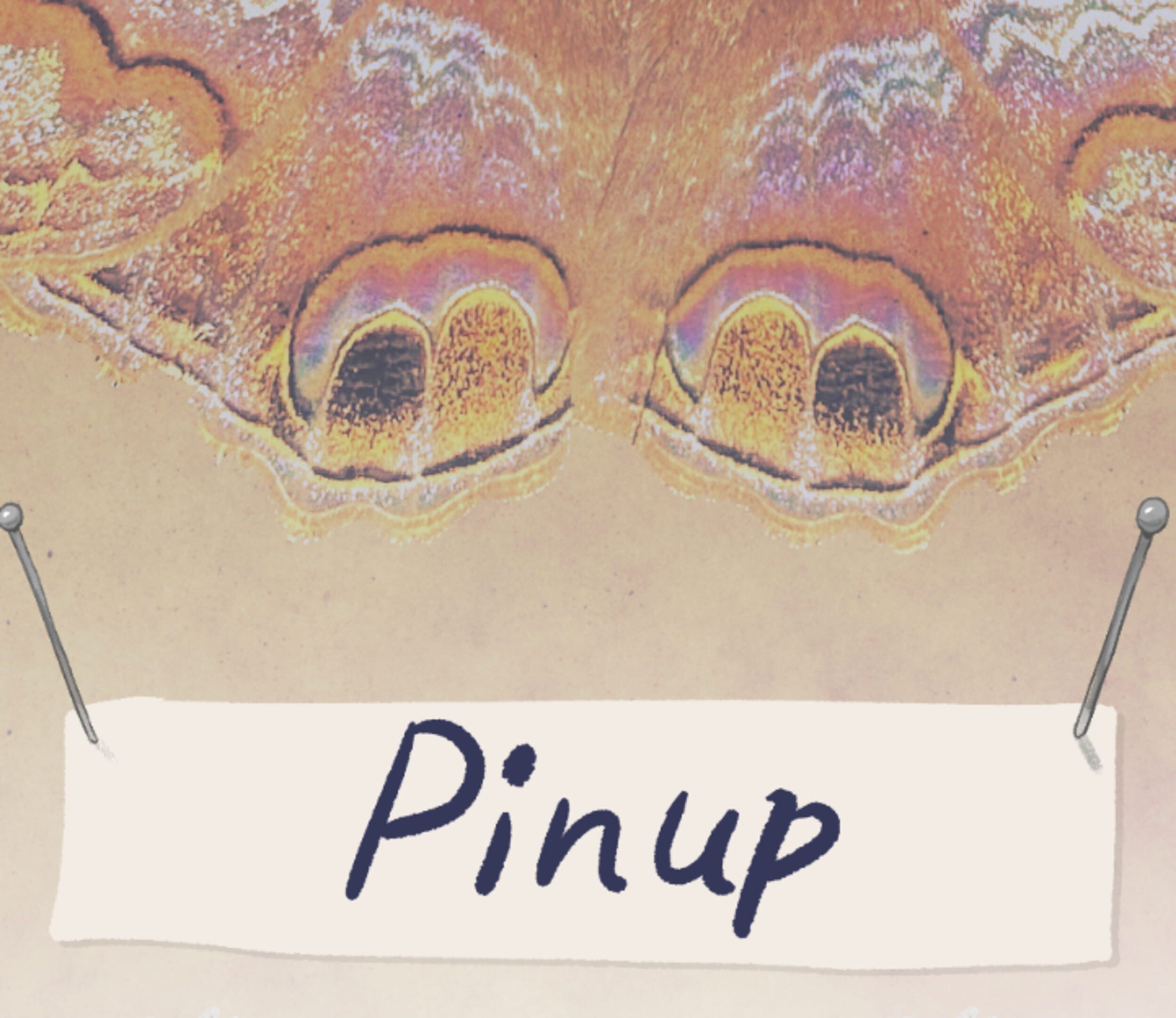 Pinup