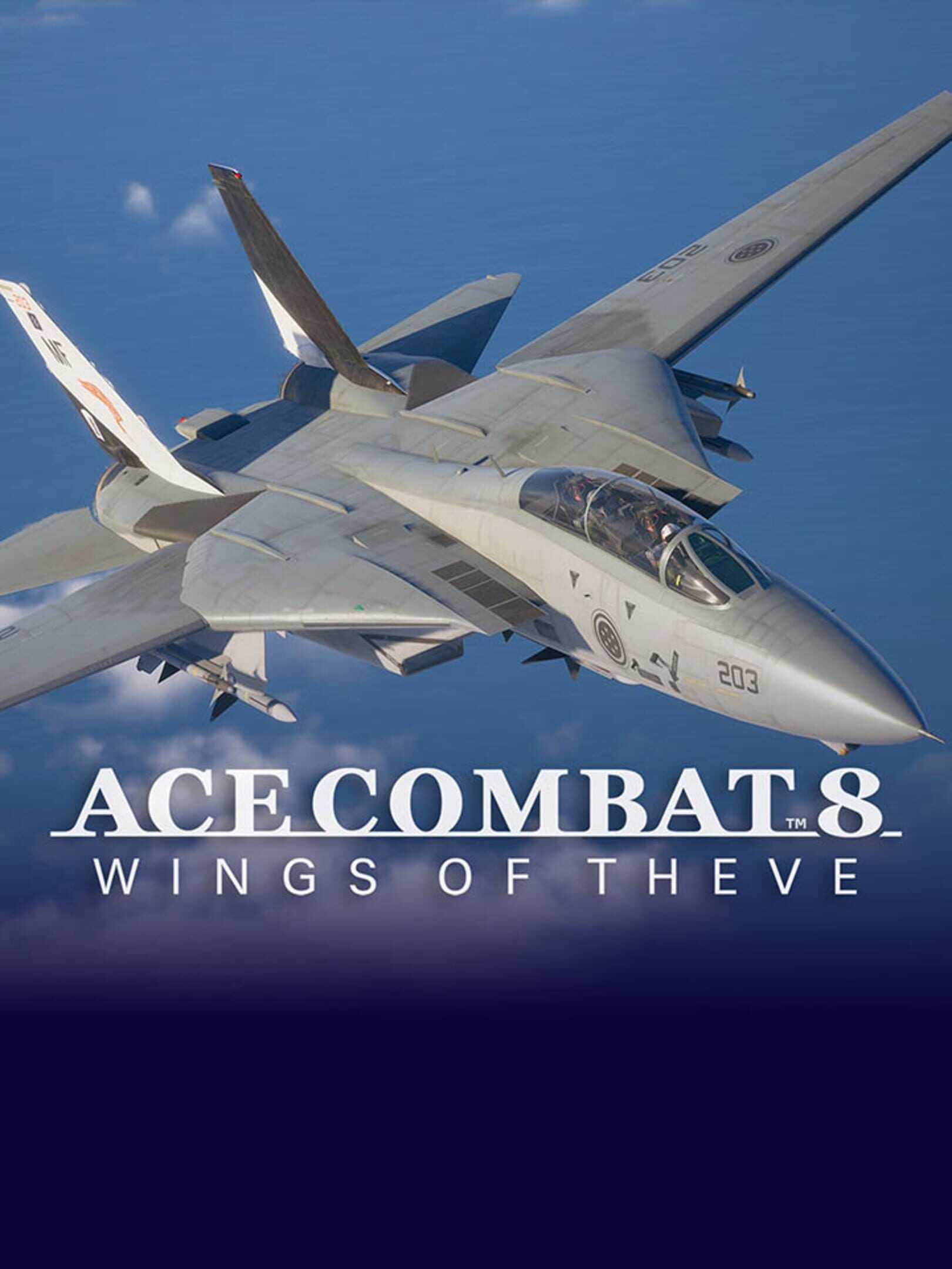 Ace Combat 8: Wings of Theve - Playable Aircraft: F-14A cover