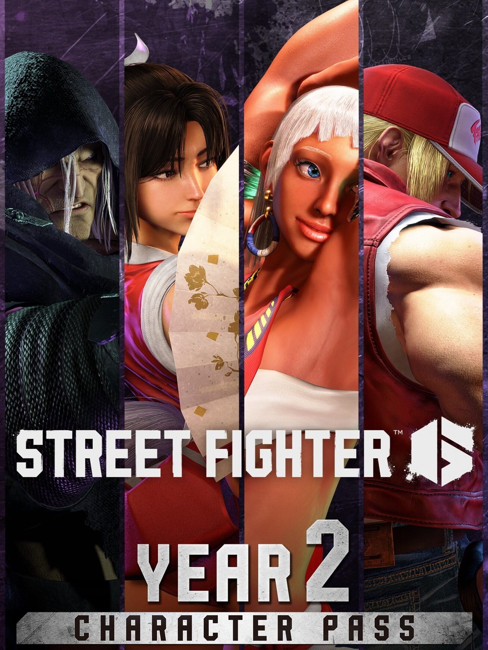 Street Fighter 6: Year 2 Character Pass cover