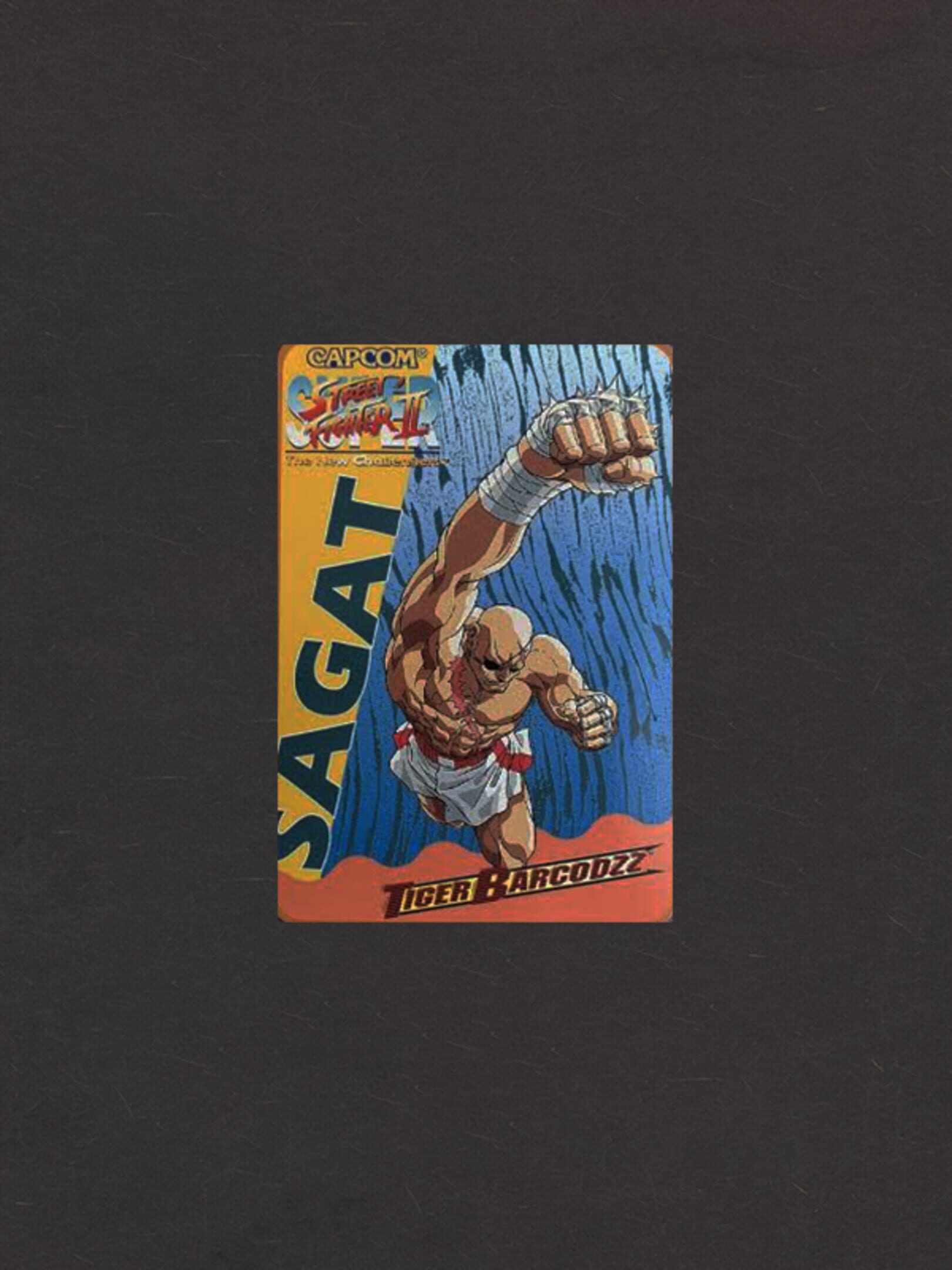 Super Street Fighter II: The New Challengers - Tiger Barcodzz: Sagat