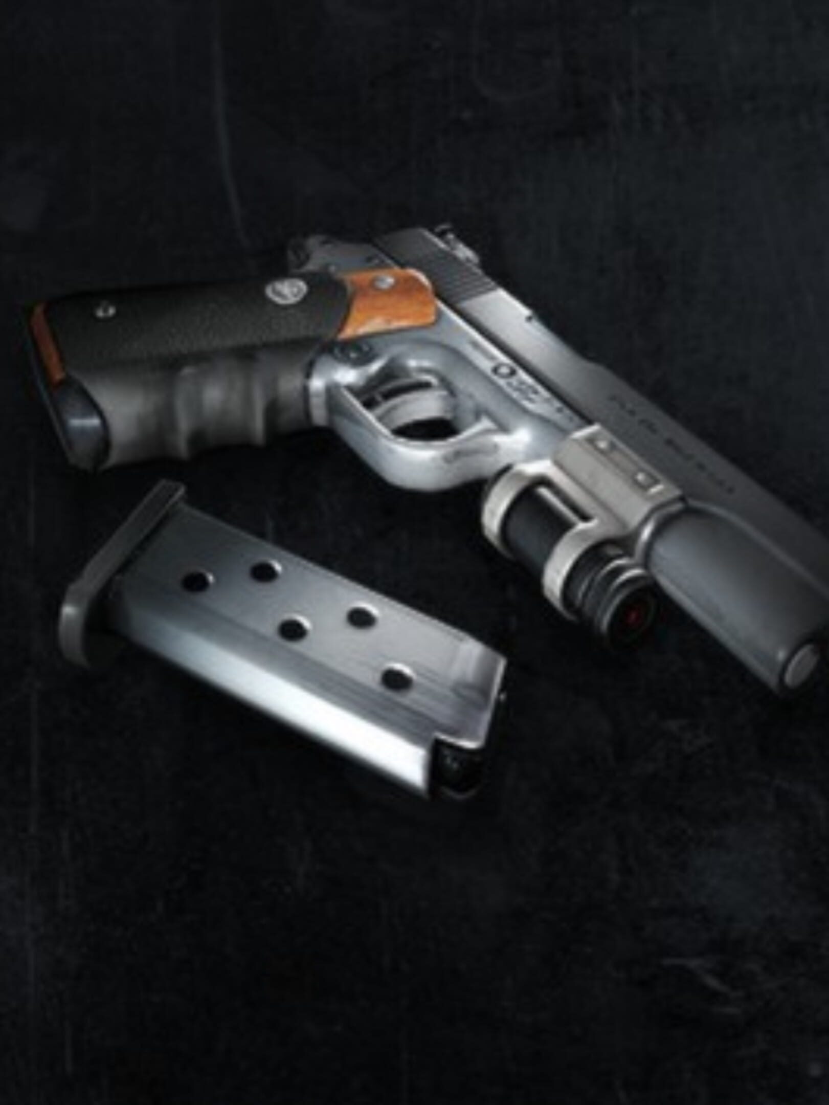 Tomb Raider: Silverballer cover