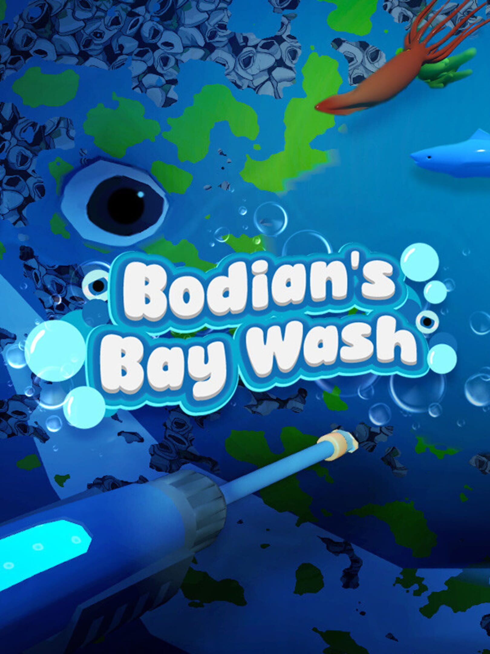 Bodian's Bay Wash cover