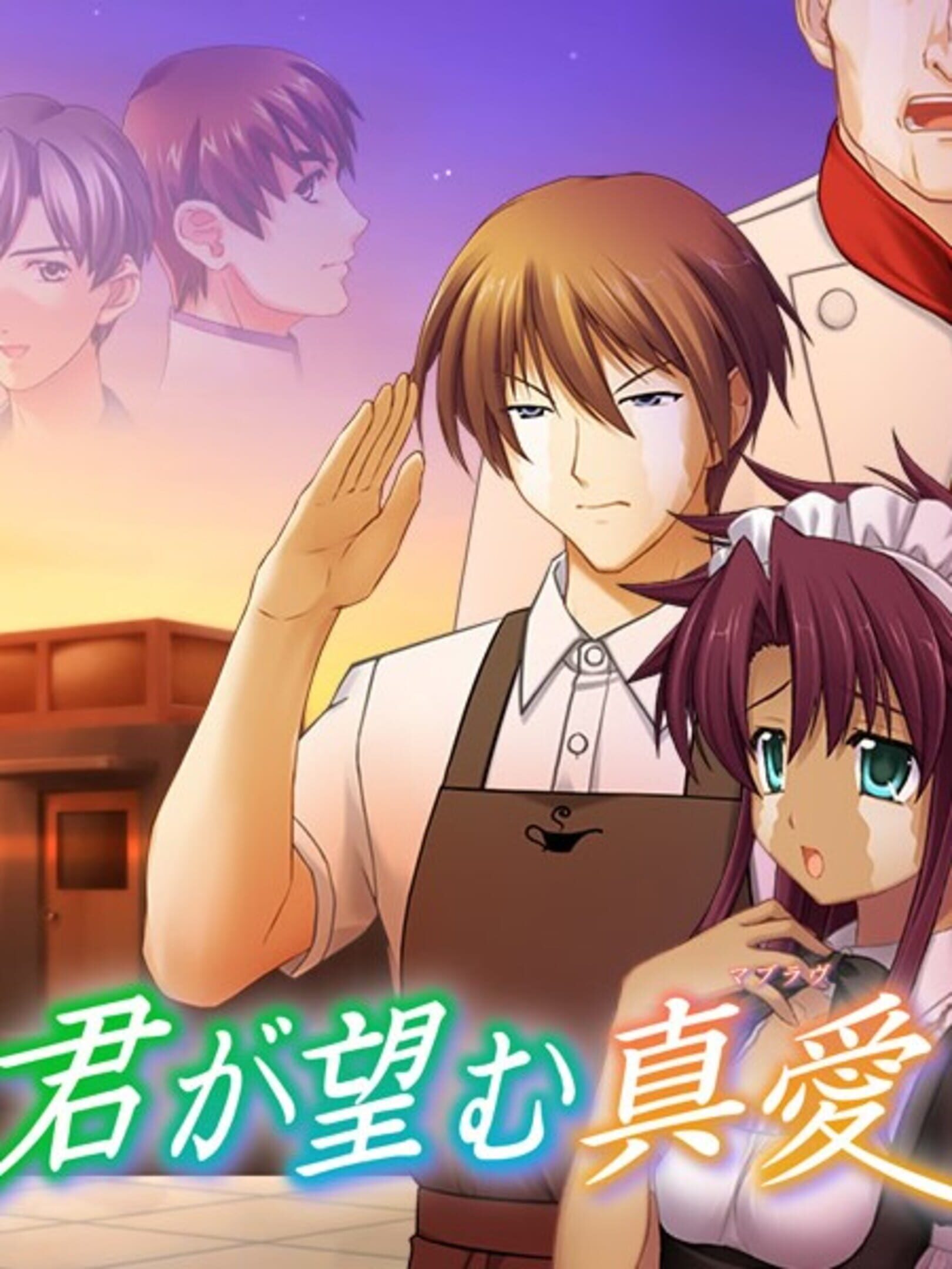 Kimi ga Nozomu Muv-Luv cover