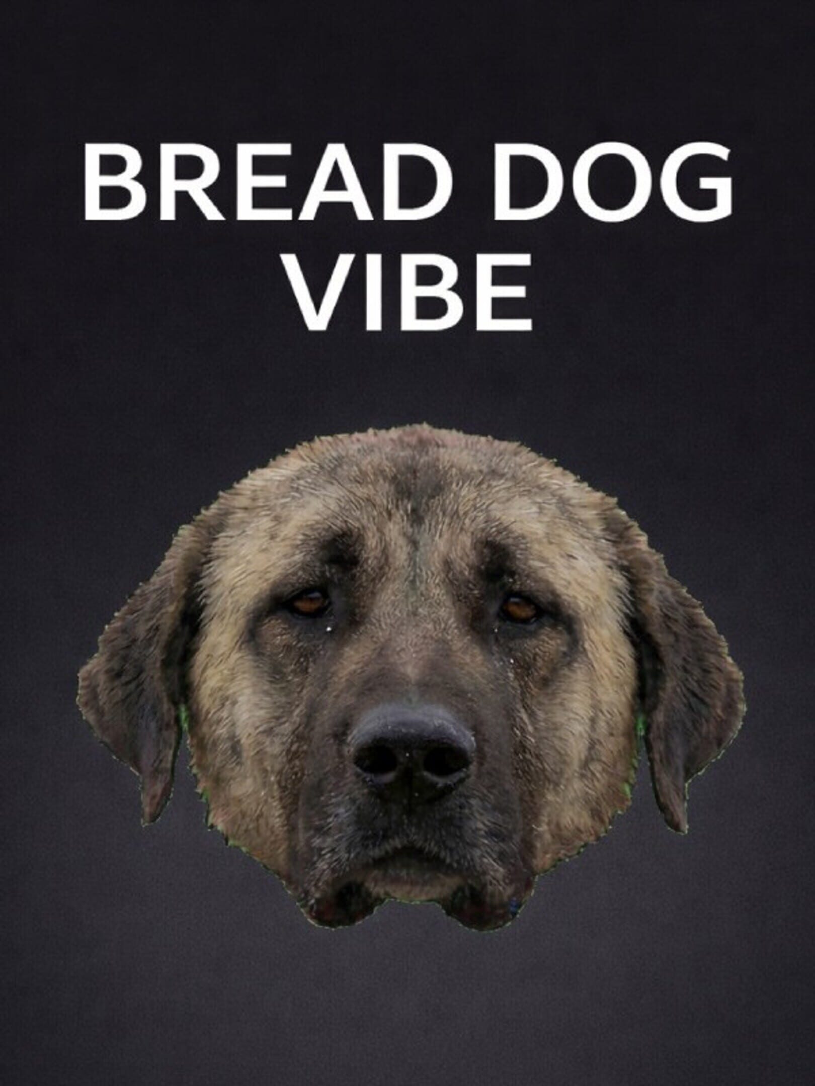 Bread Dog Vibe cover