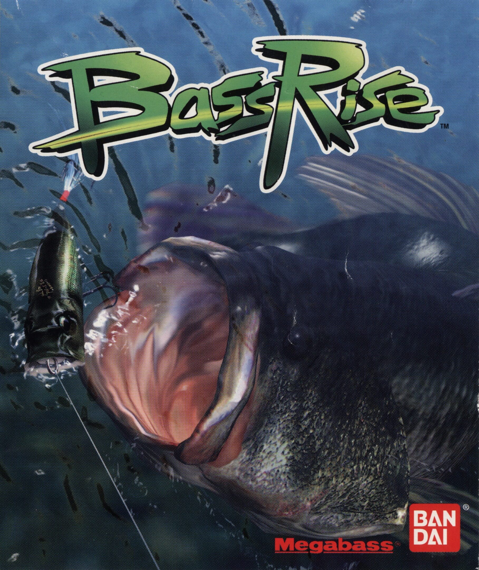 Bass Rise cover