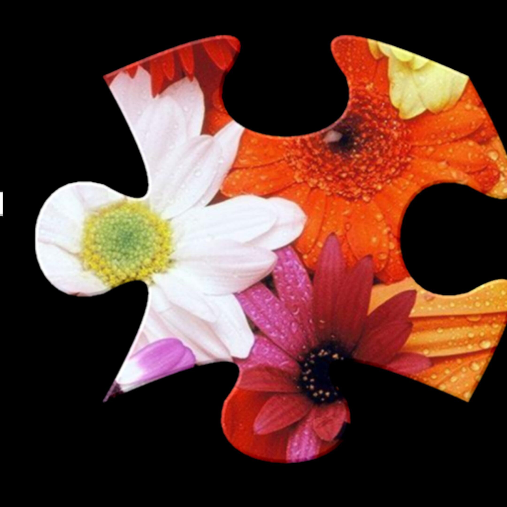 Jigsaws Galore Stash Games tracker