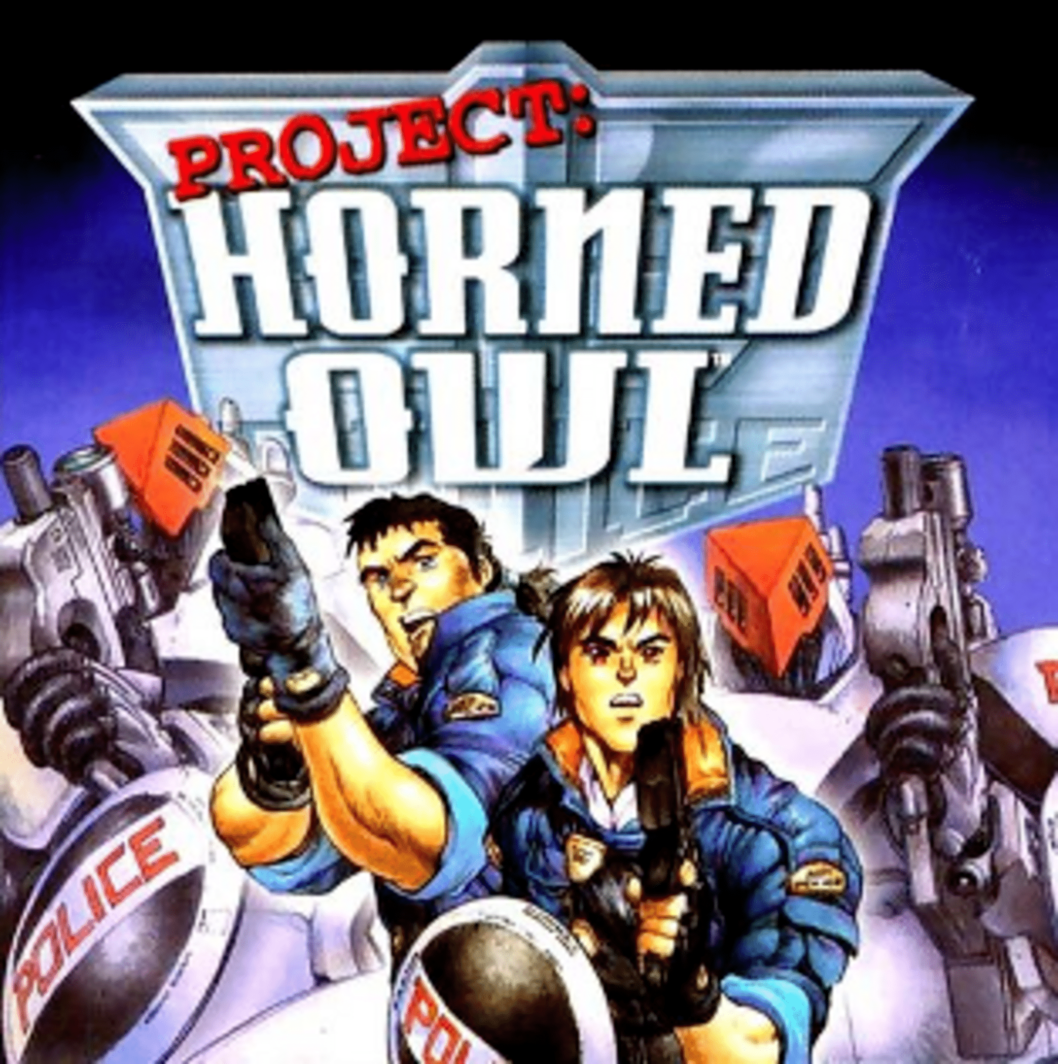 Project: Horned Owl box art