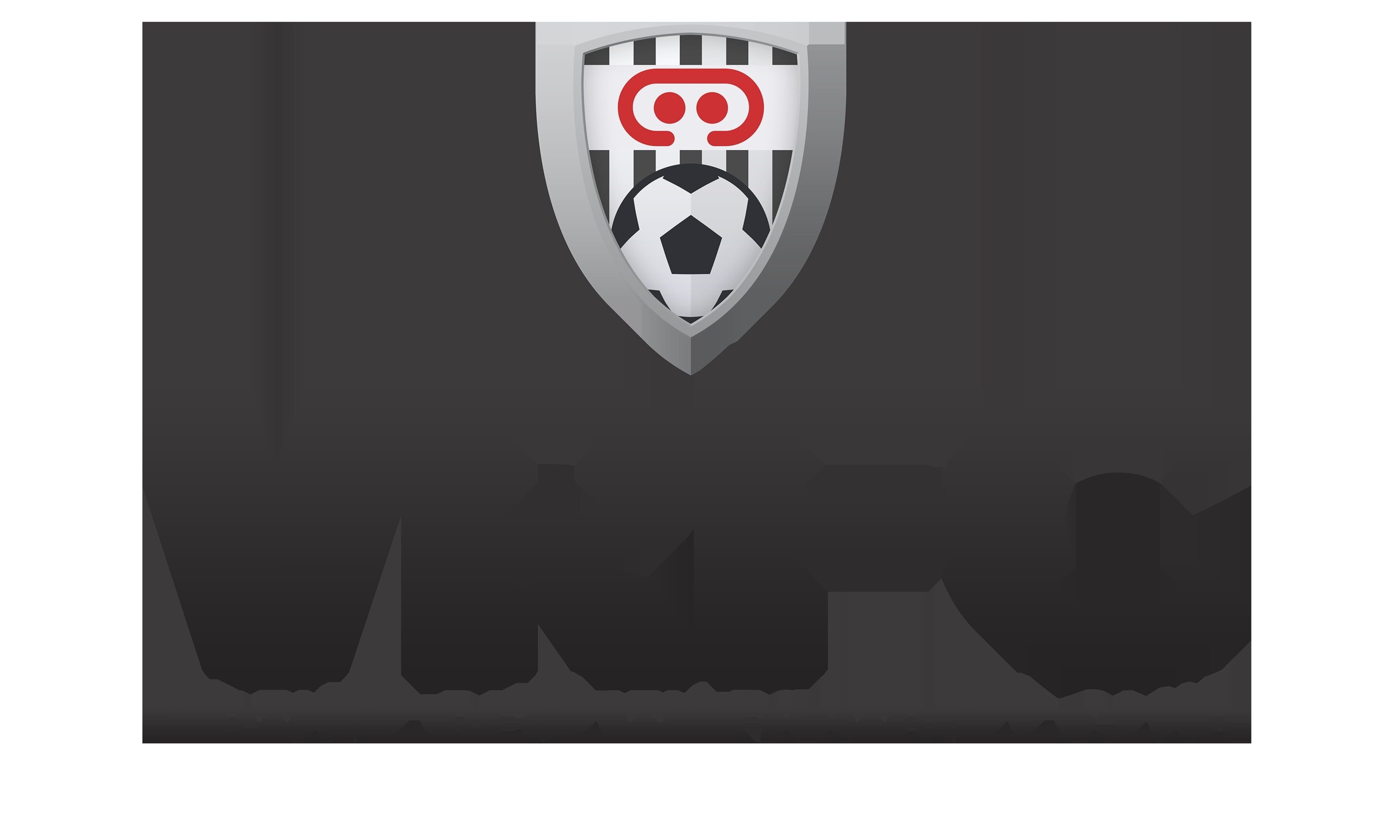 VRFC Virtual Reality Football Club