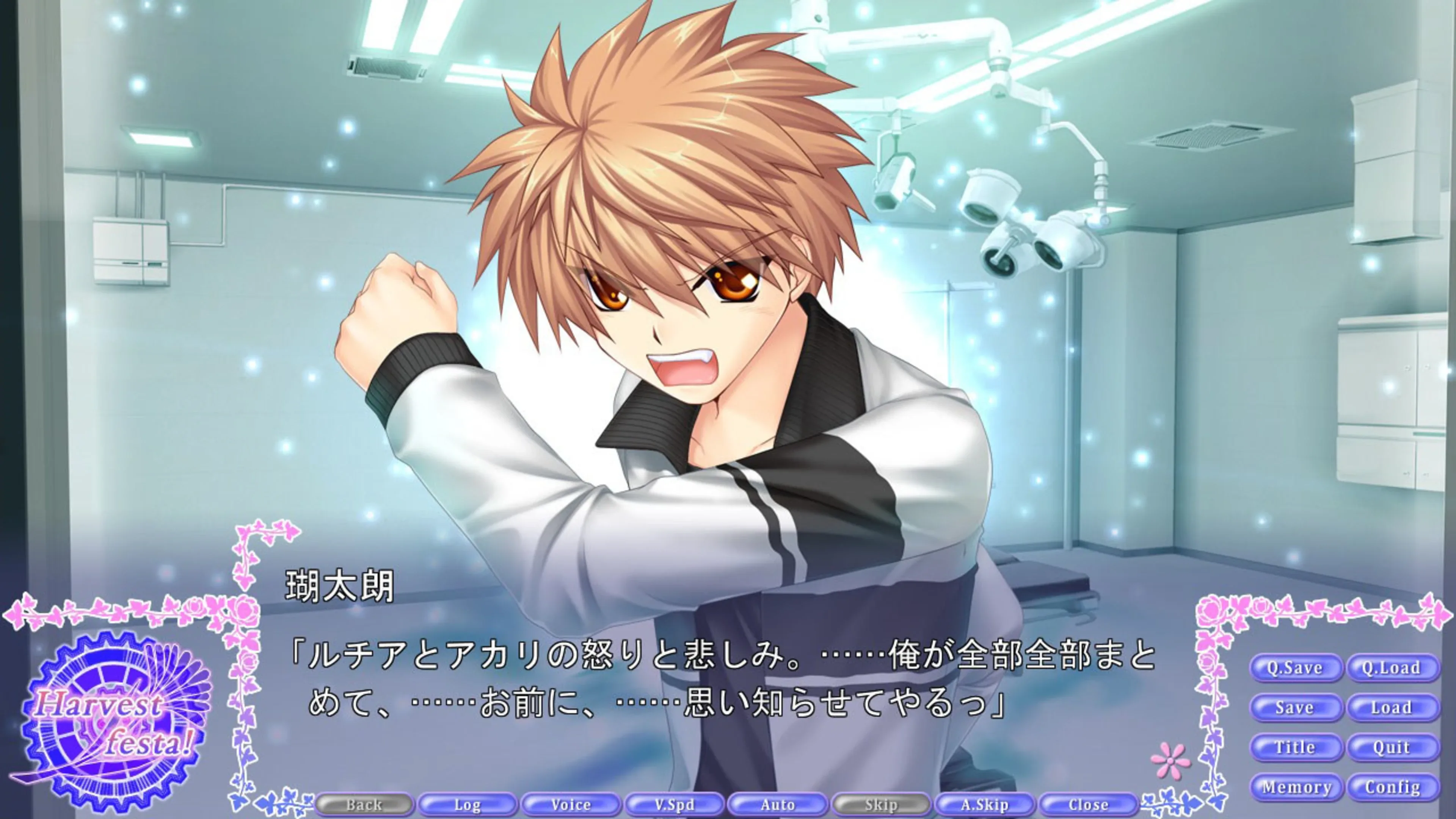 Rewrite Harvest festa! - SteamGridDB
