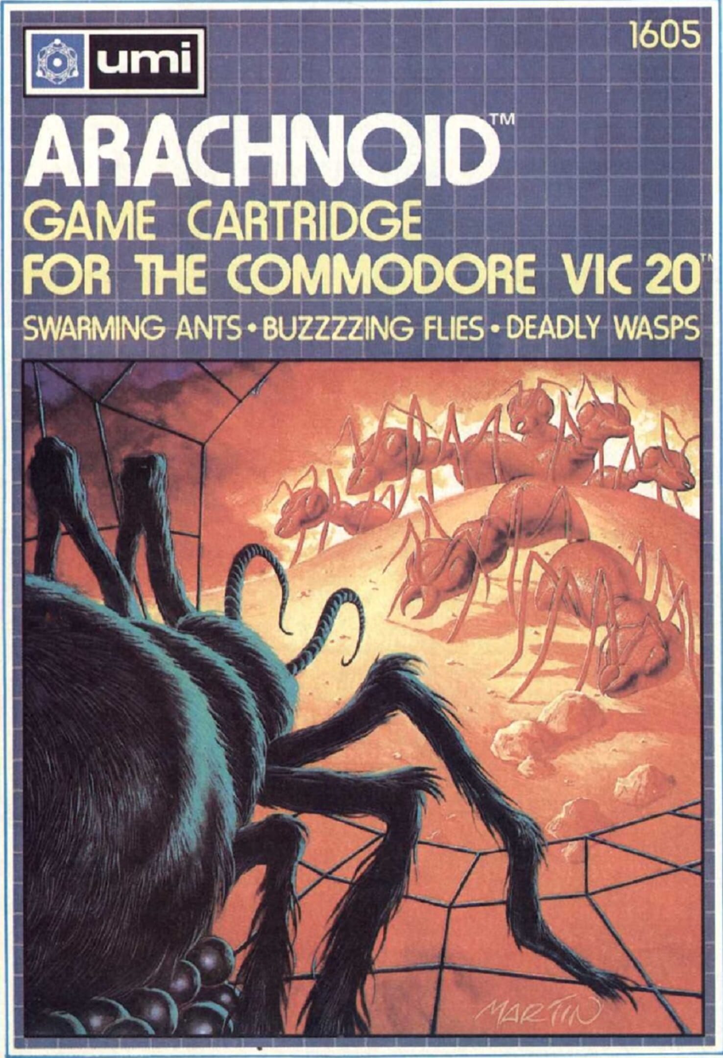 Arachnoid