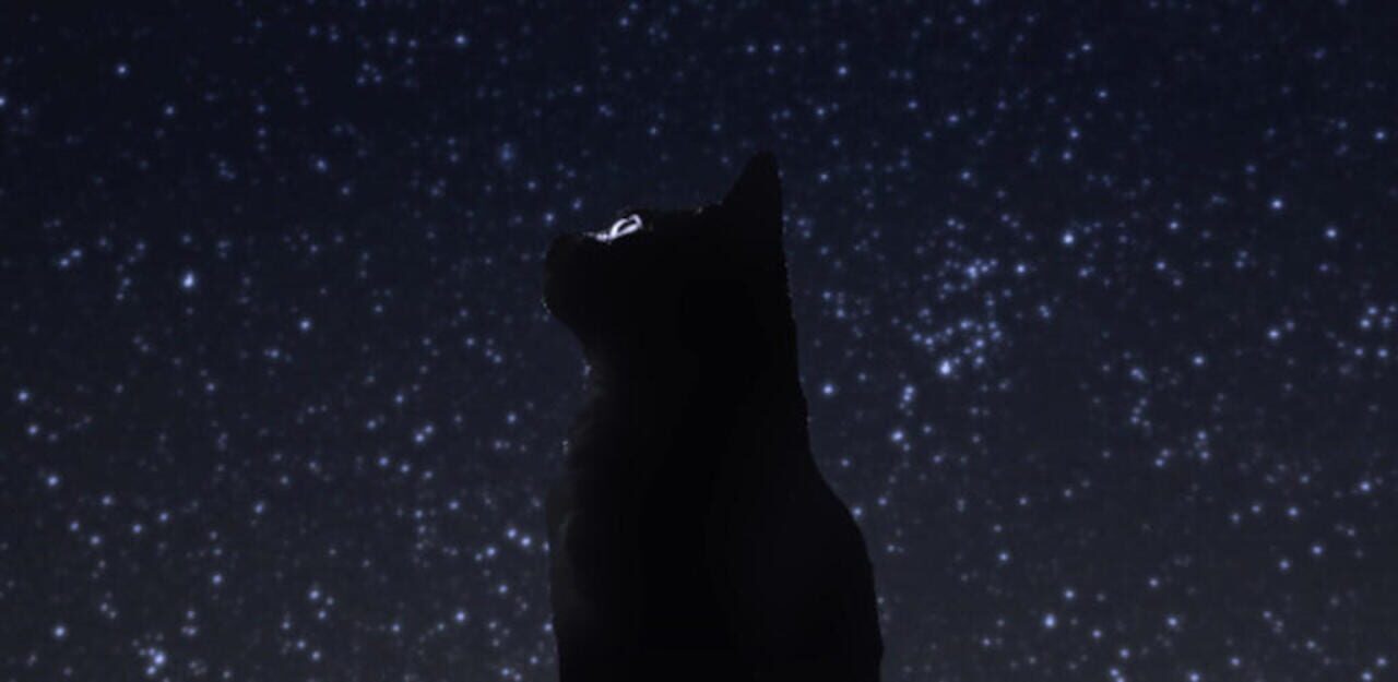 Seize the Night artwork