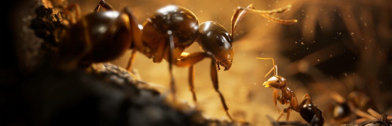 Empire of the Ants_artwork_148720