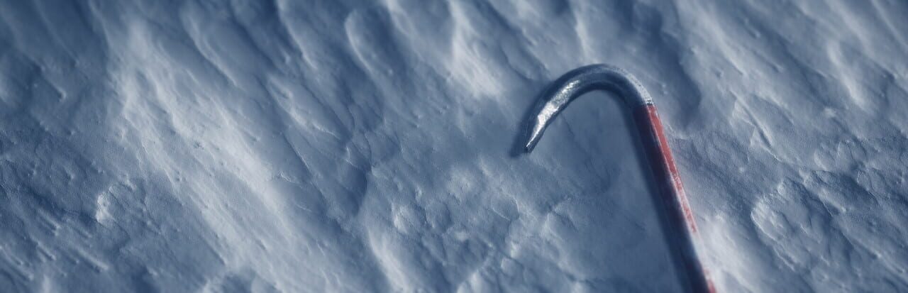 Cover image for Project Borealis: Prologue
