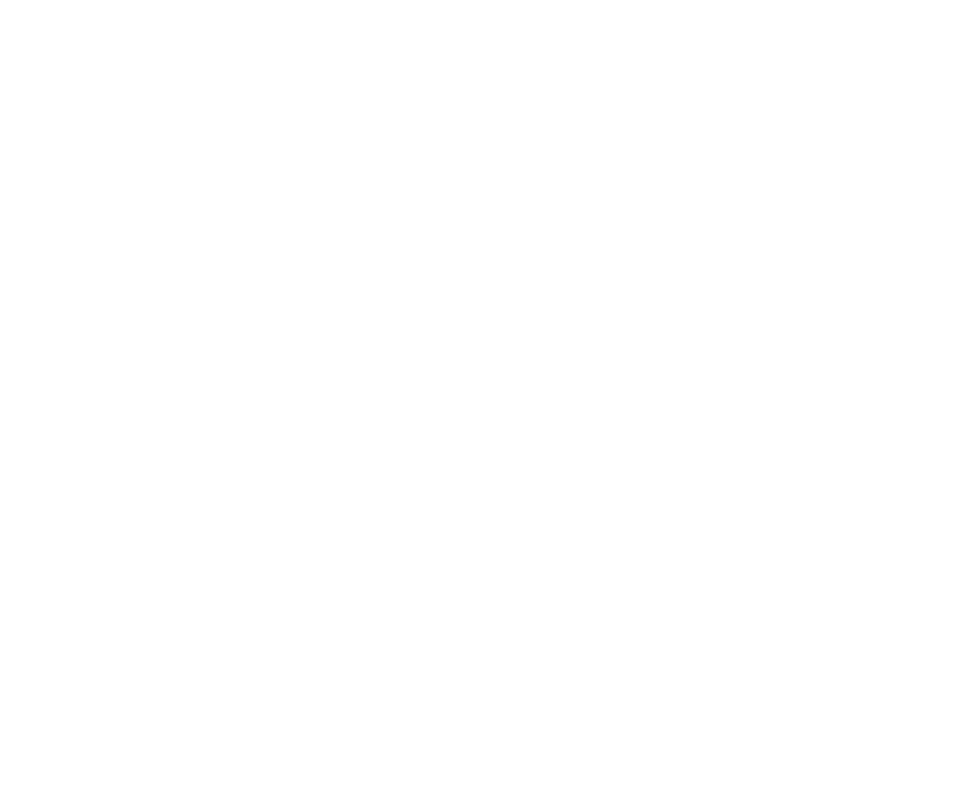 The Legend of Zelda: Tears of the Kingdom