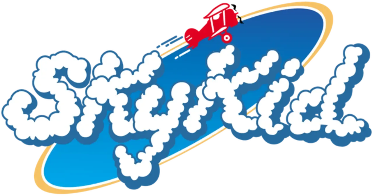Sky Kid