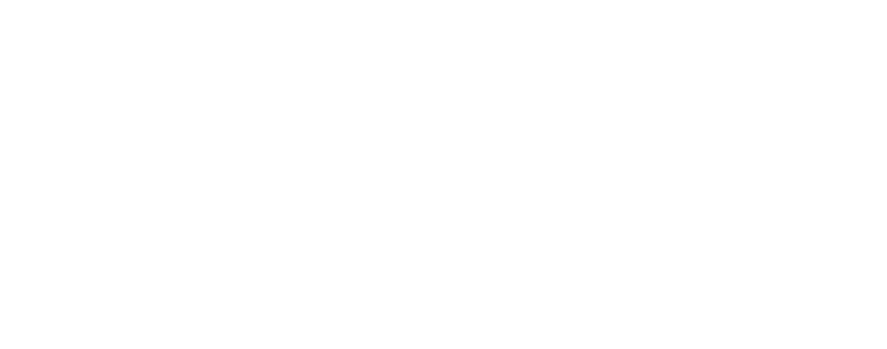 Skytail