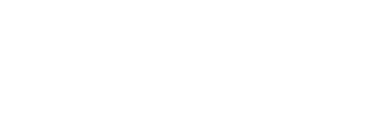 Sonic Riders Future