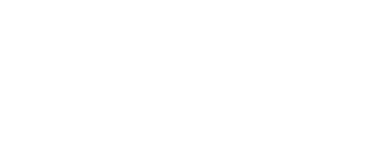 Rev. Noir