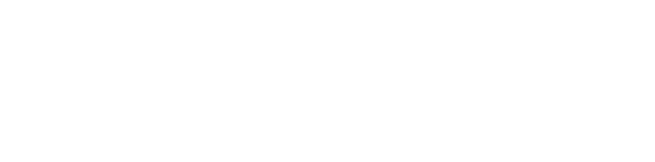 Bolo