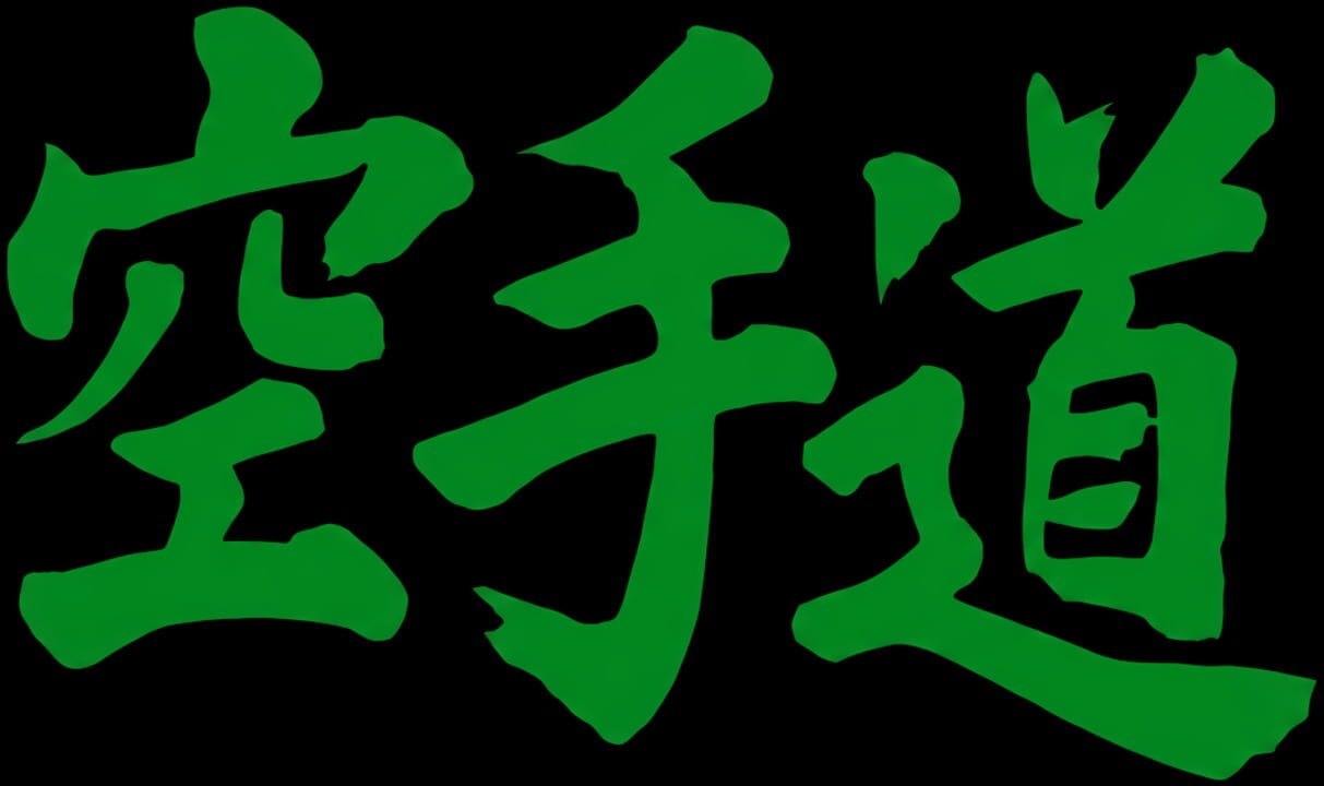 Cover image for Karate Champ
